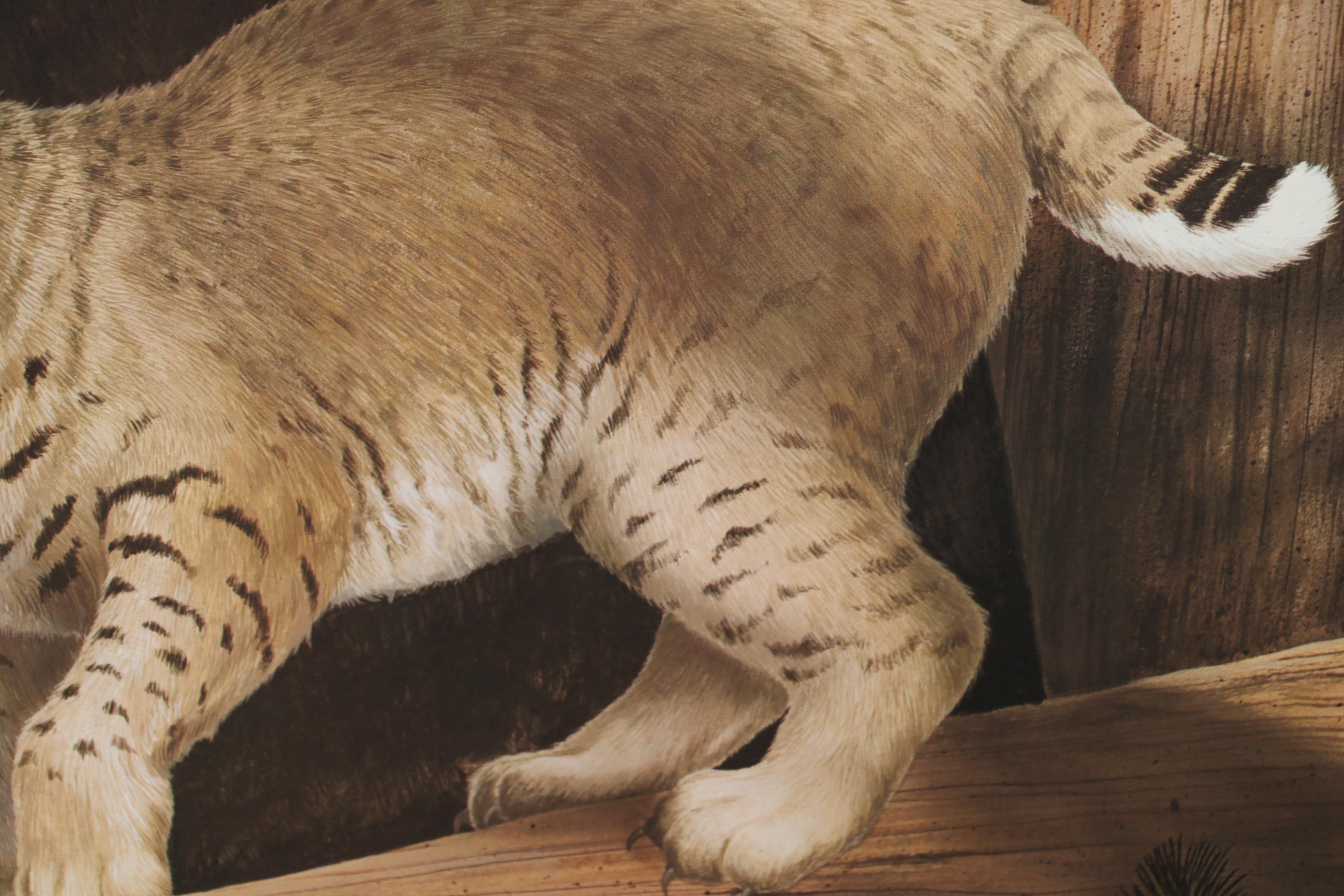 Offset Lithograph after Harry Antis "Bobcat", 1972