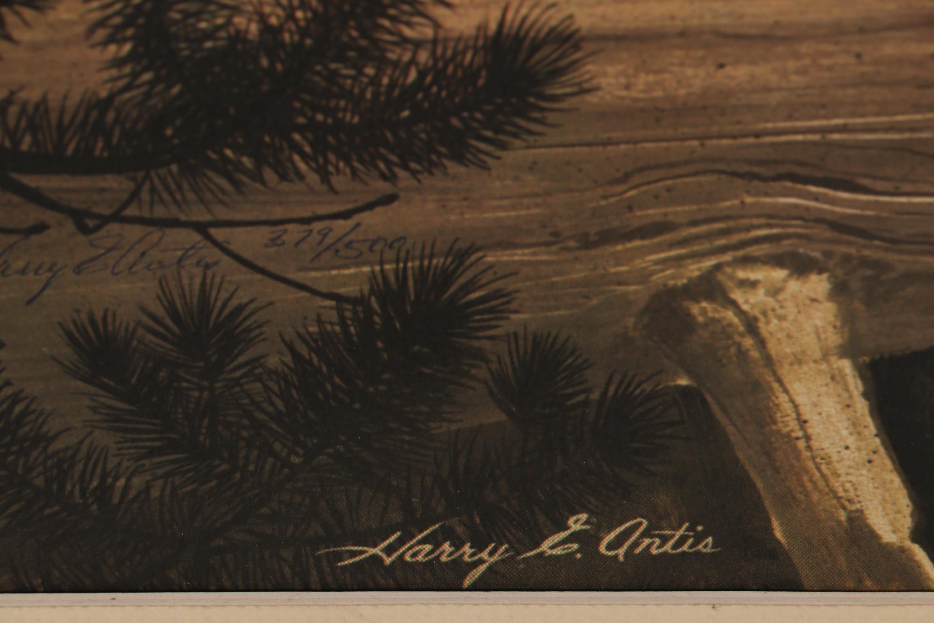 Offset Lithograph after Harry Antis "Bobcat", 1972