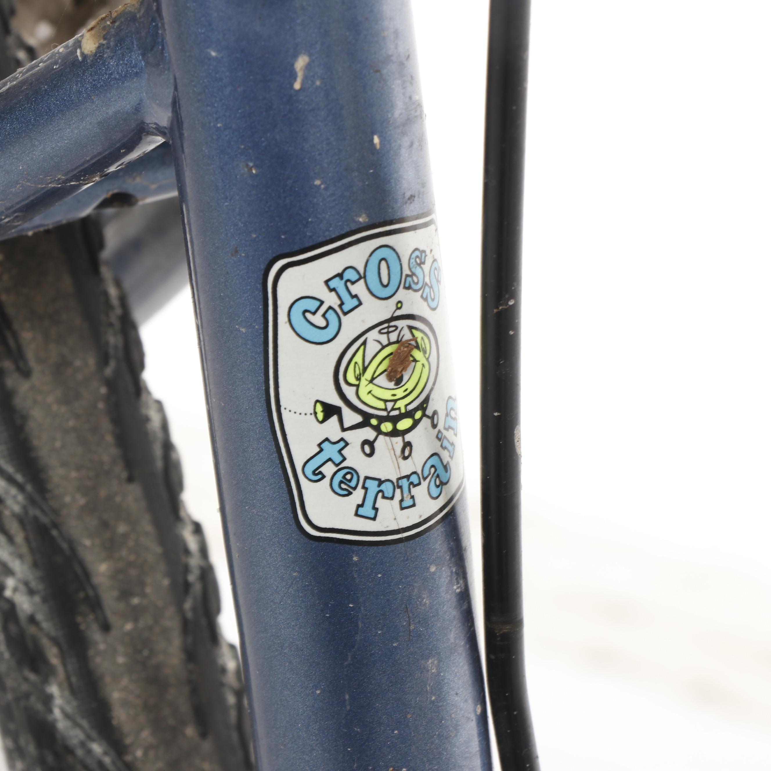 Bianchi "Avenue" Hybrid Bicycle, 1990s