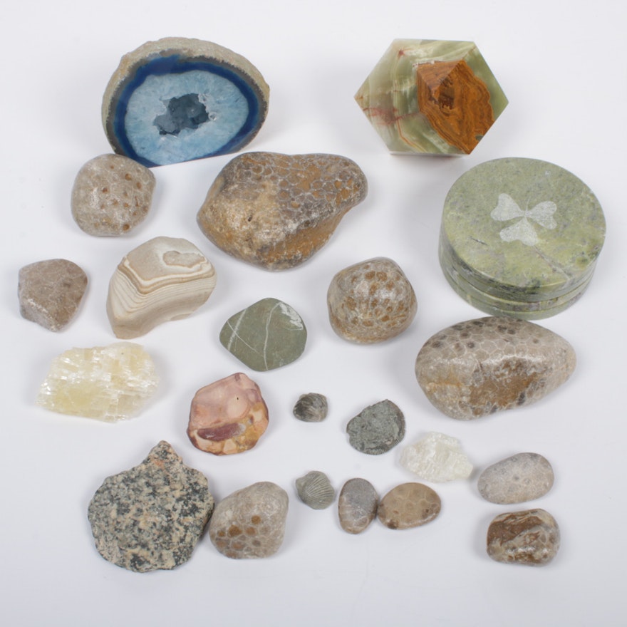 Fossils and Minerals Including Geode, Green Onyx, and More