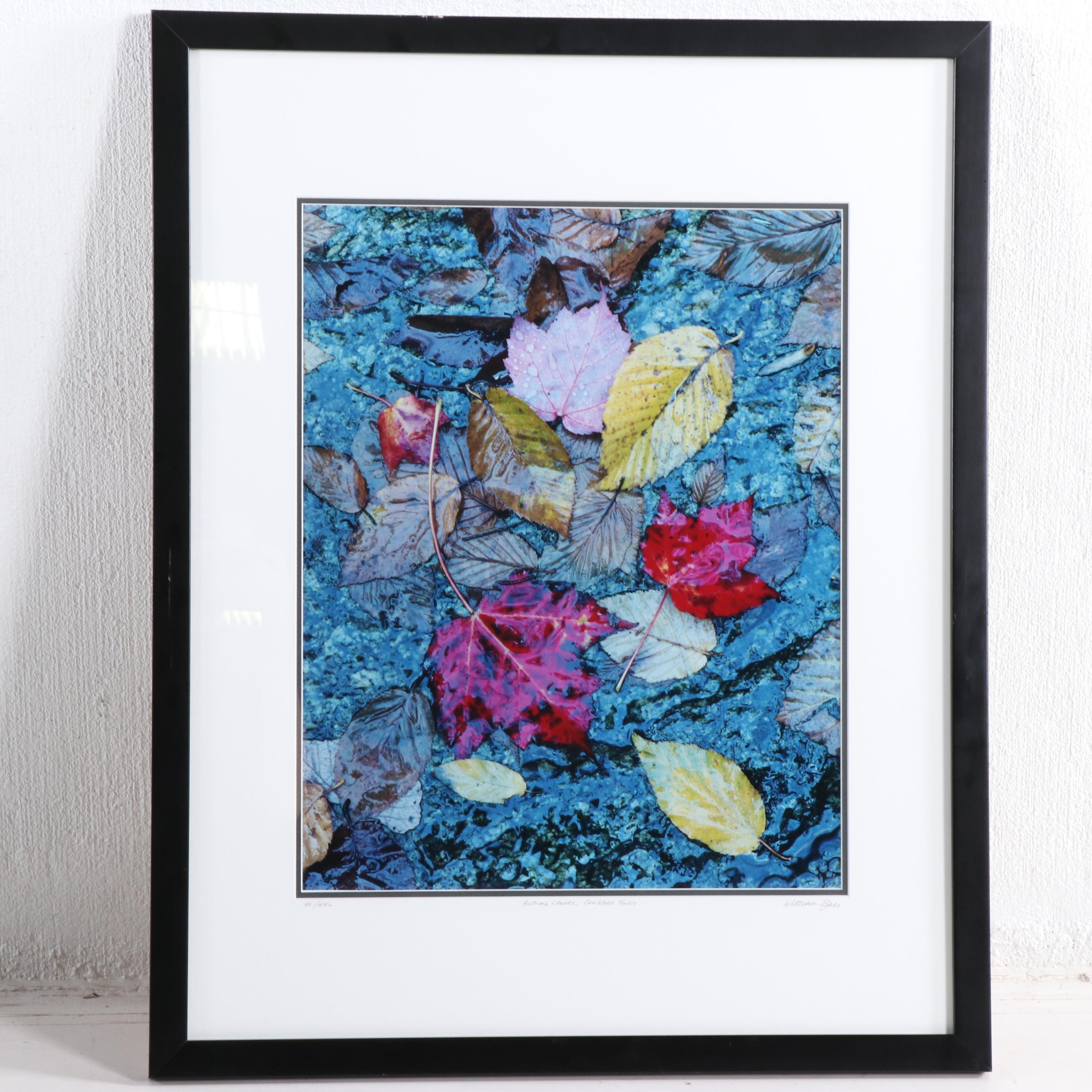 Lyn St. Clair Stubbs Dog Lithograph