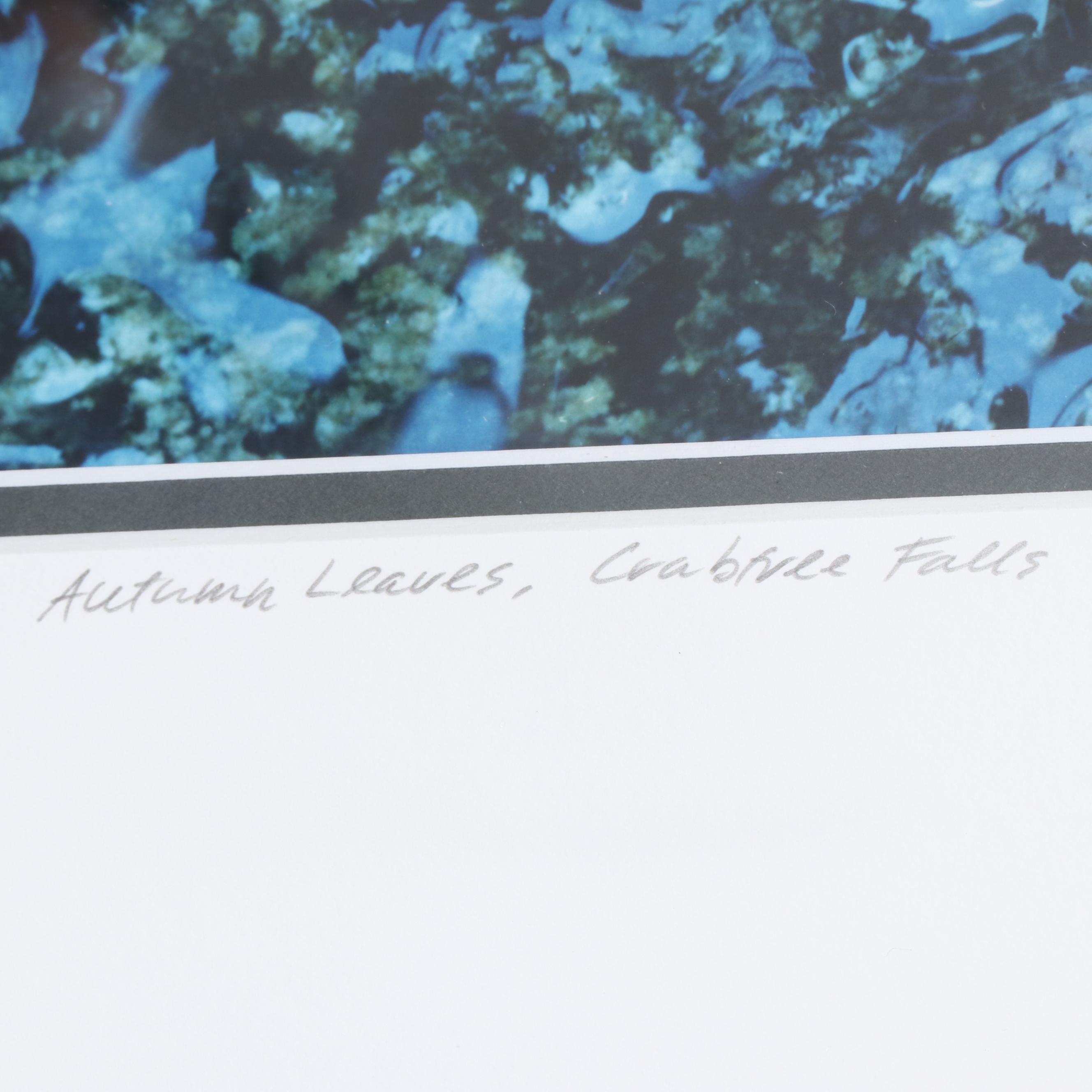 Lyn St. Clair Stubbs Dog Lithograph