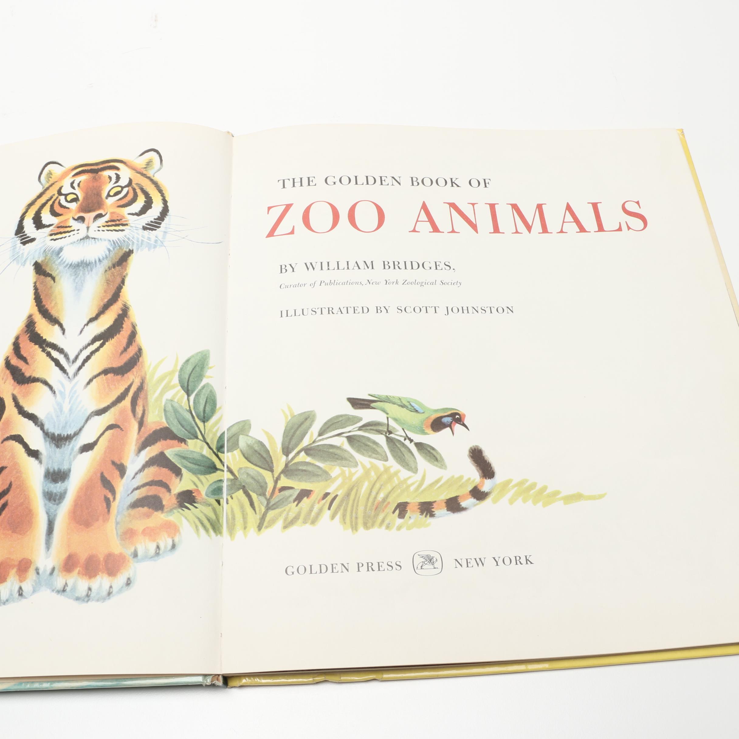 Vintage Children's Books featuring Manipulatives, Wonder, Little Golden and More