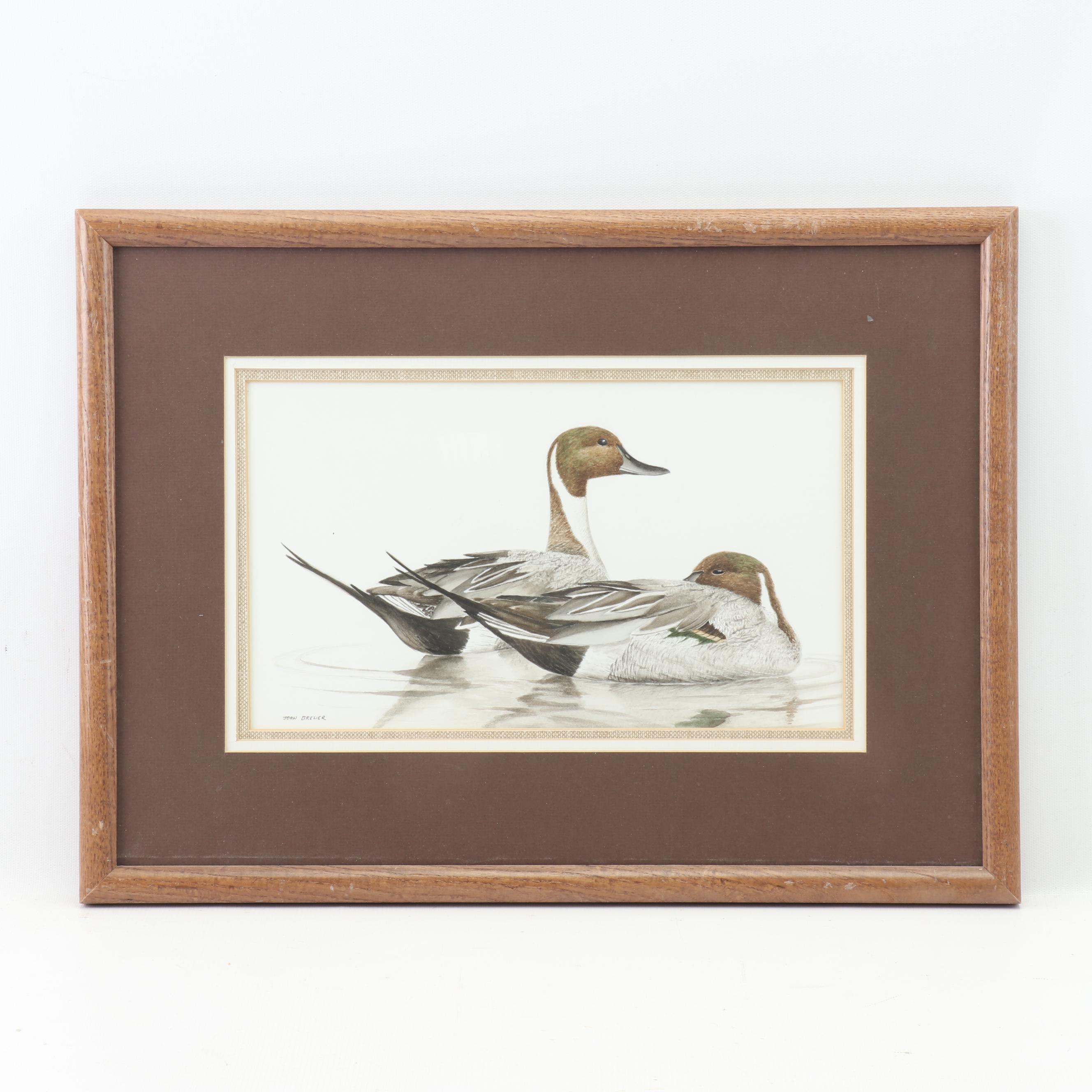 John Brewer Ducks on the Water Watercolor