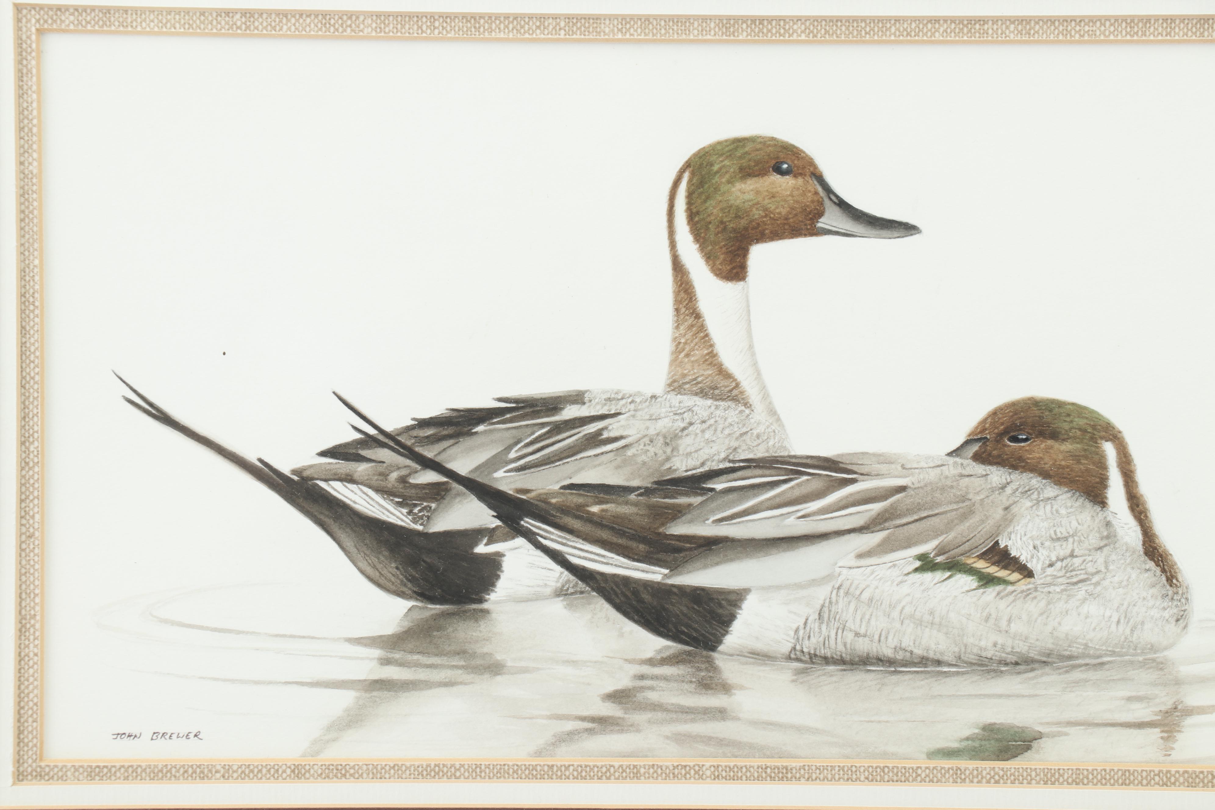 John Brewer Ducks on the Water Watercolor