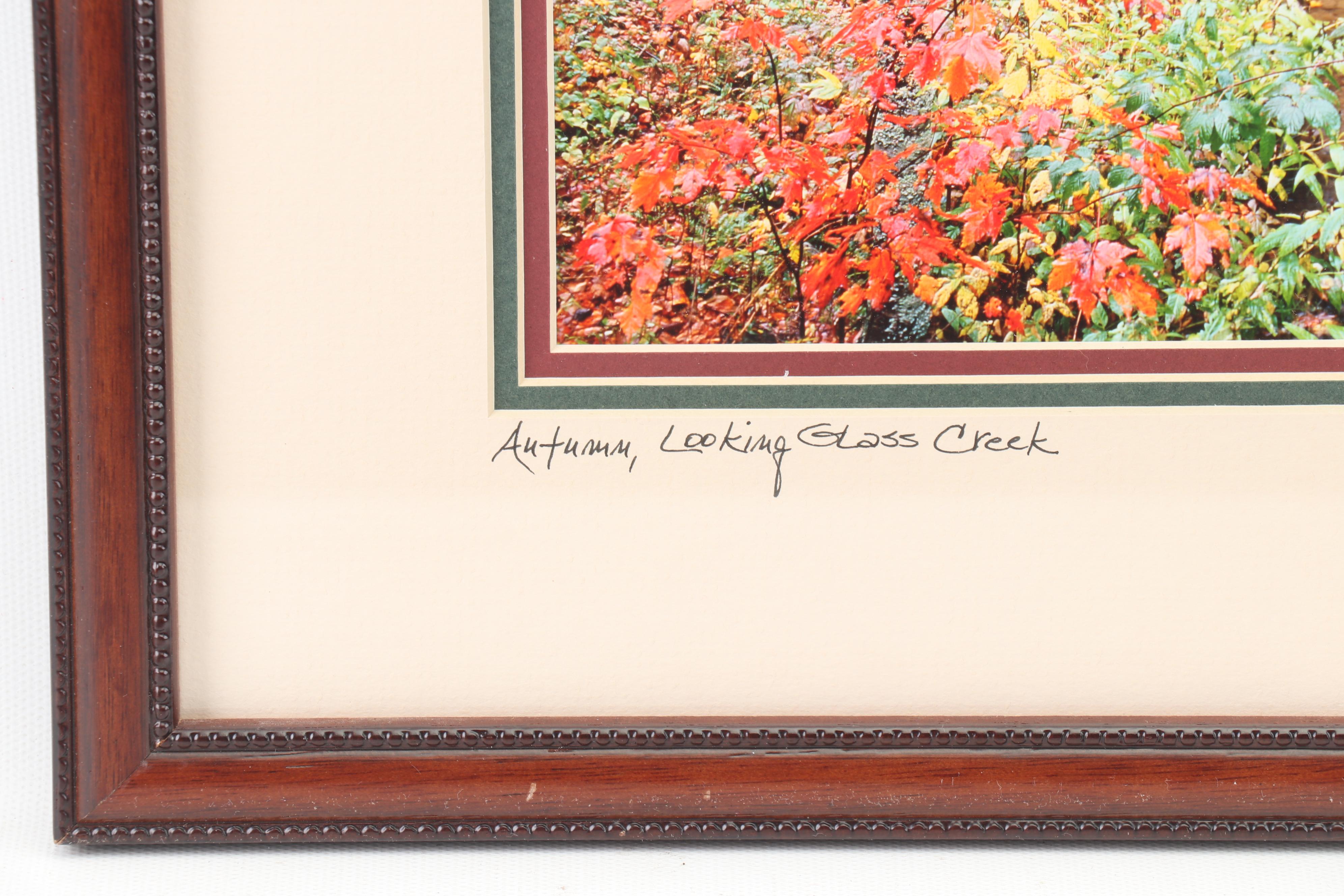 Jim Mowbray Limited Edition Ilfochrome Photographs