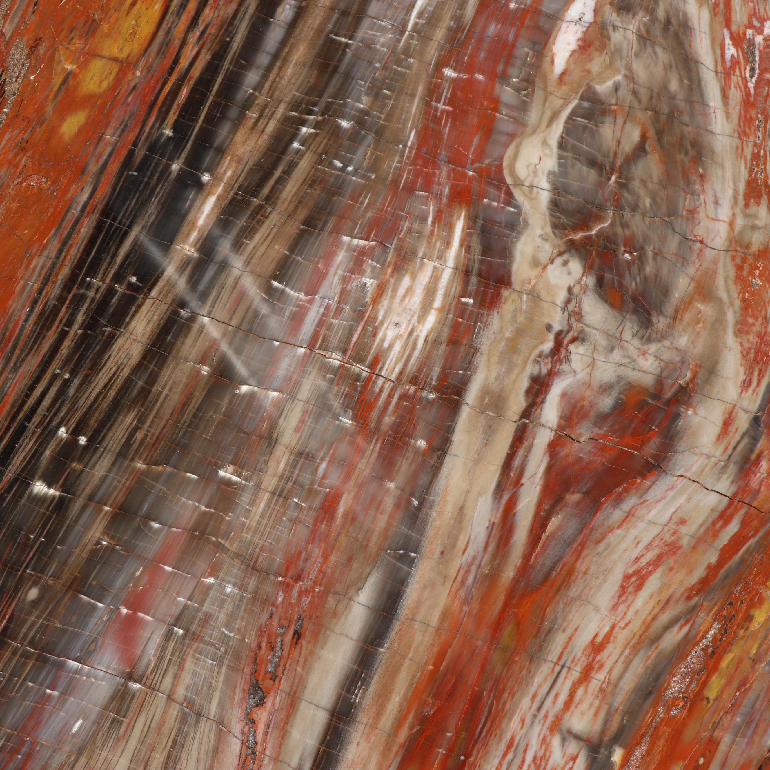 Russell-Zuhl Petrified Pine Coffee Table on Wood Burl Base, 1997