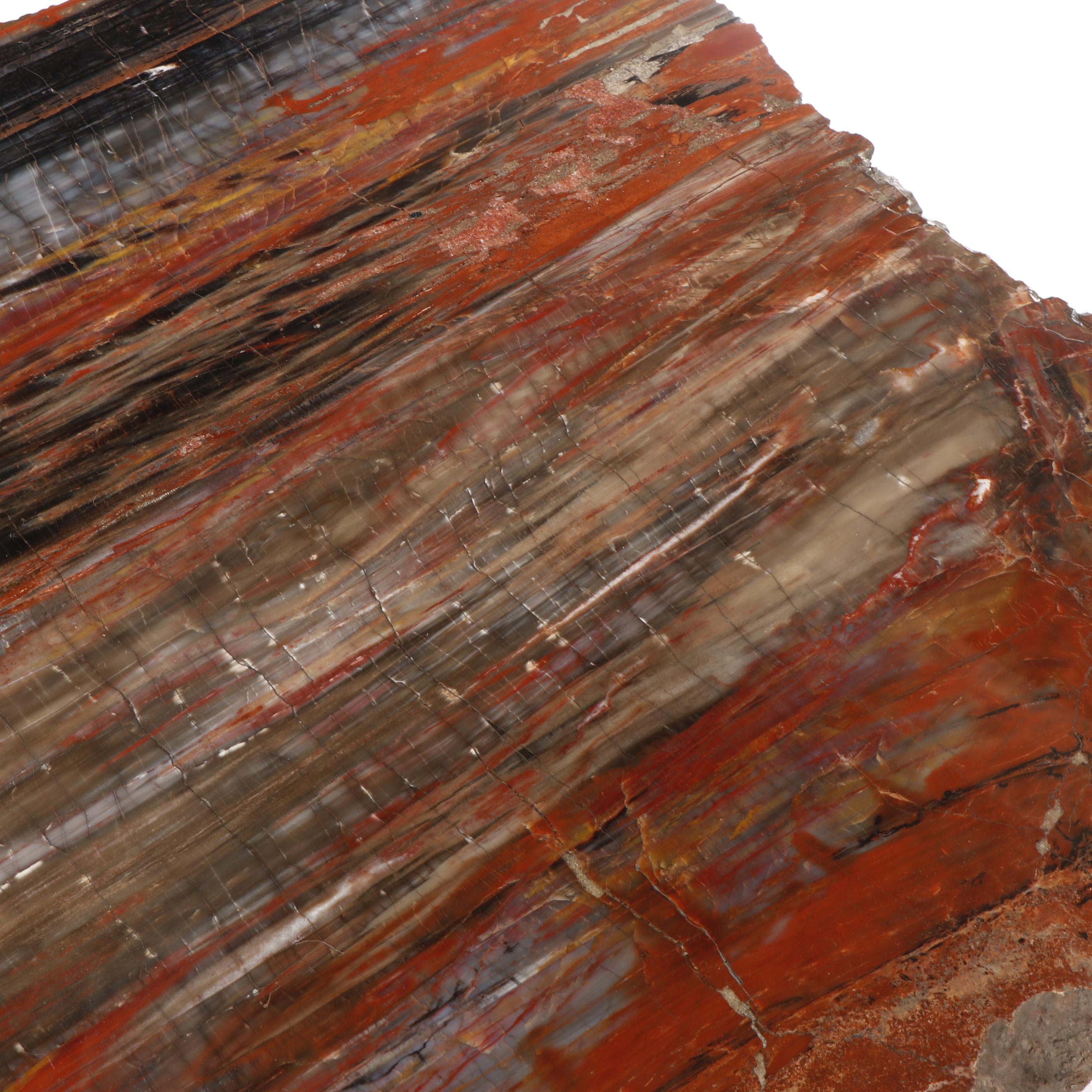 Russell-Zuhl Petrified Pine Coffee Table on Wood Burl Base, 1997