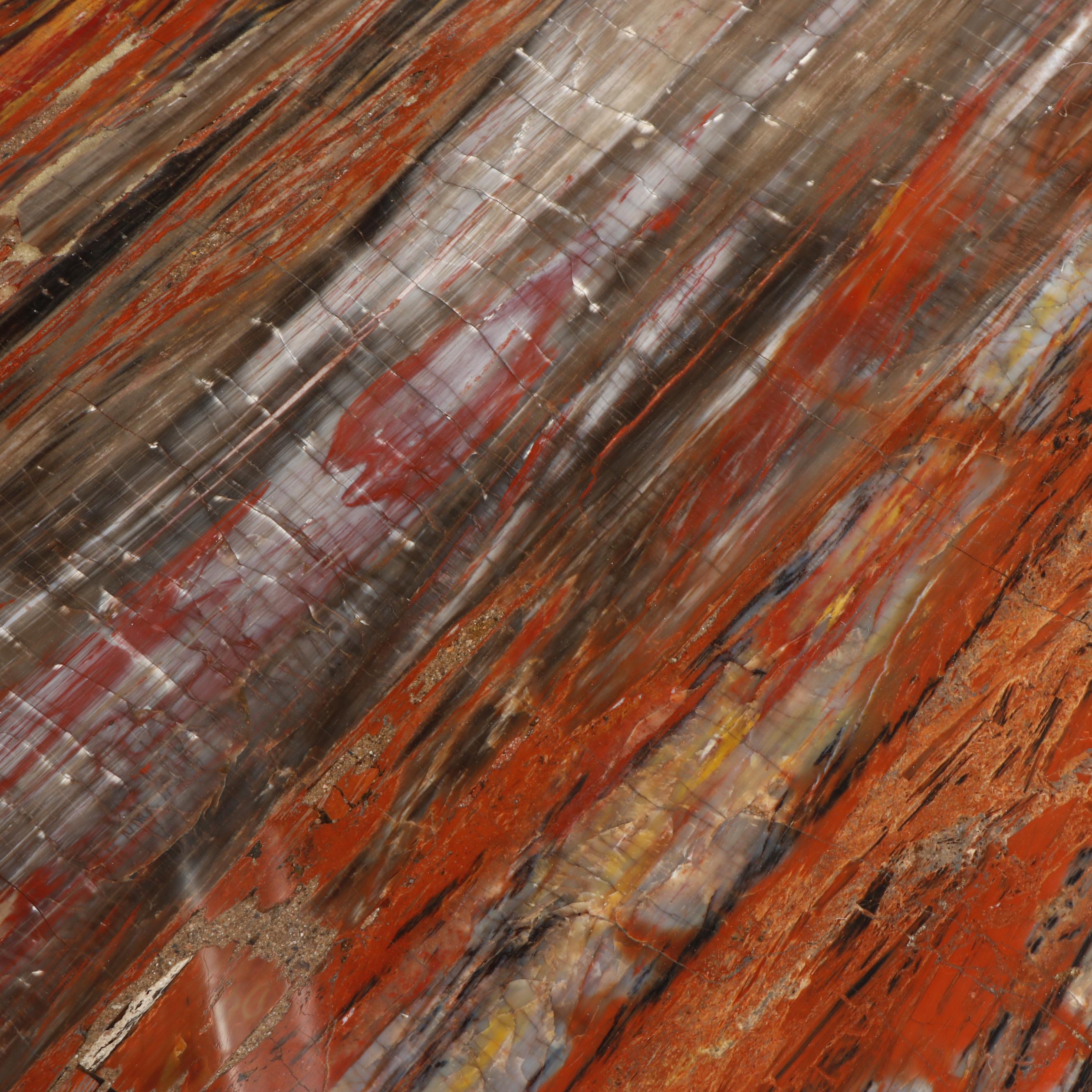 Russell-Zuhl Petrified Pine Coffee Table on Wood Burl Base, 1997