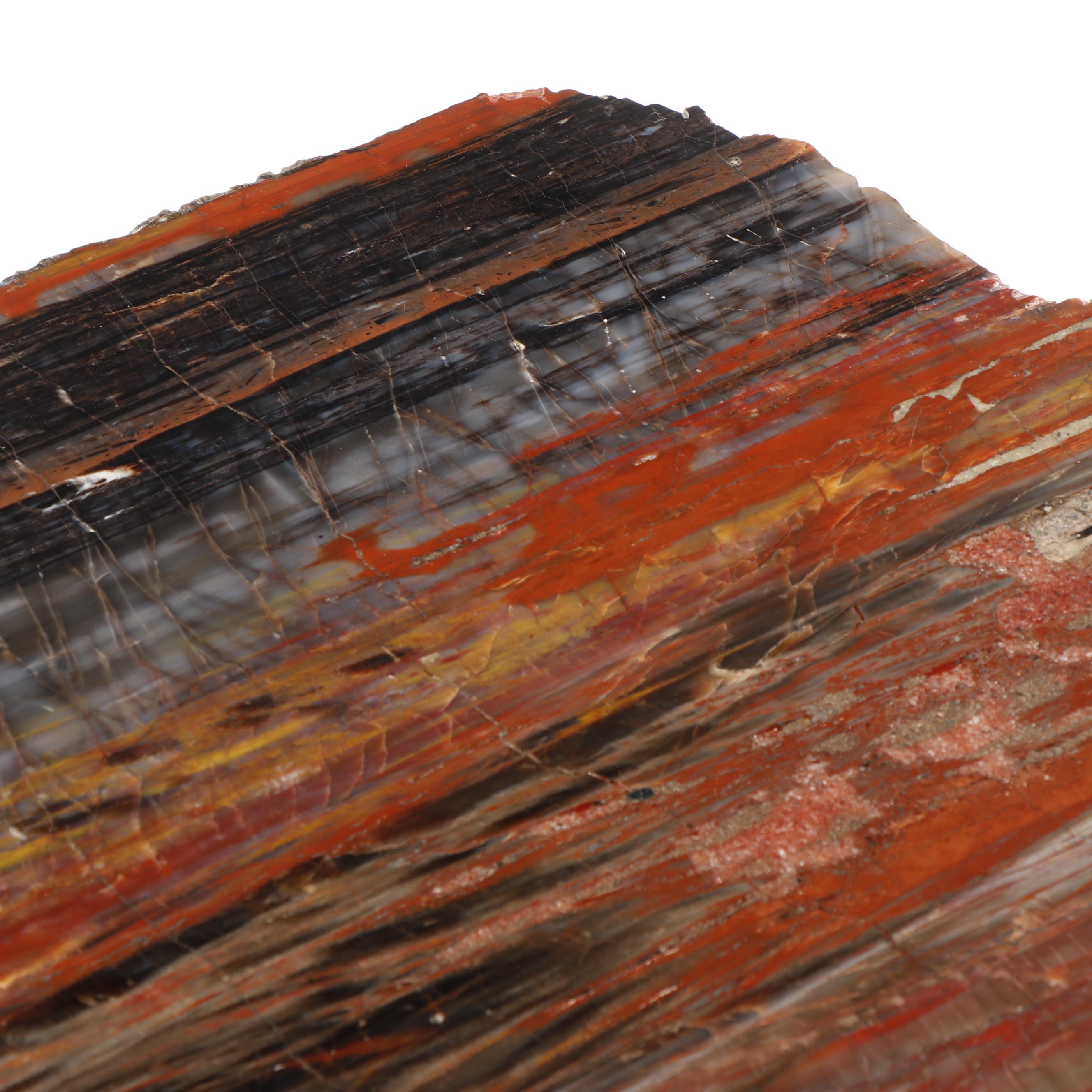 Russell-Zuhl Petrified Pine Coffee Table on Wood Burl Base, 1997