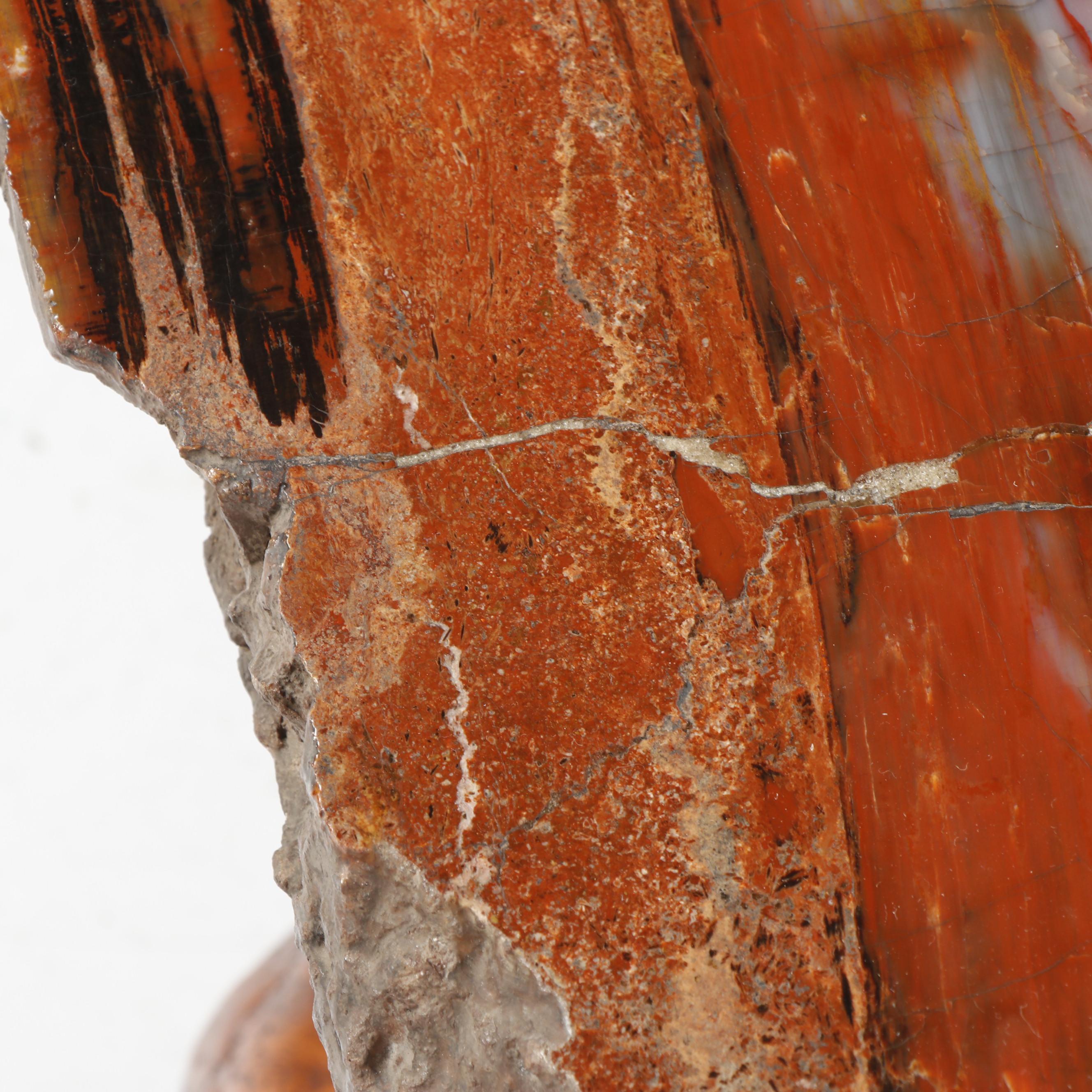 Russell-Zuhl Petrified Pine Coffee Table on Wood Burl Base, 1997