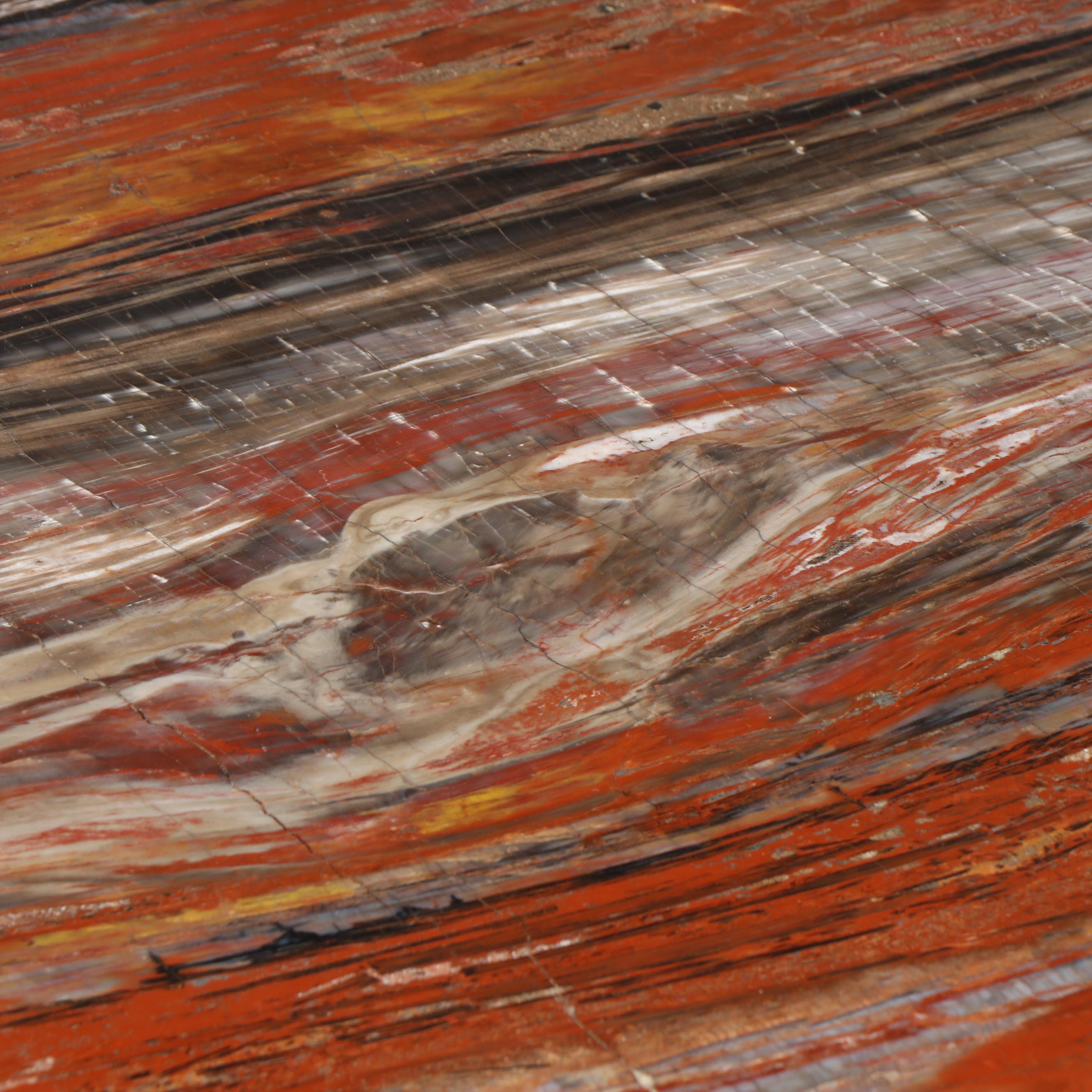 Russell-Zuhl Petrified Pine Coffee Table on Wood Burl Base, 1997