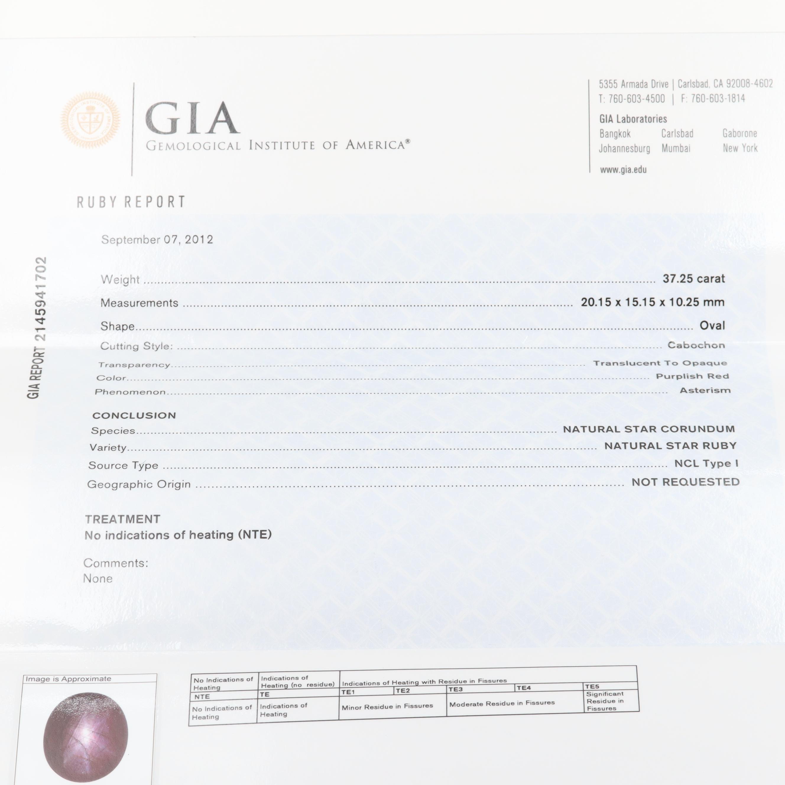 Loose 37.25 CT Oval Star Corundum Cabochon with GIA Report