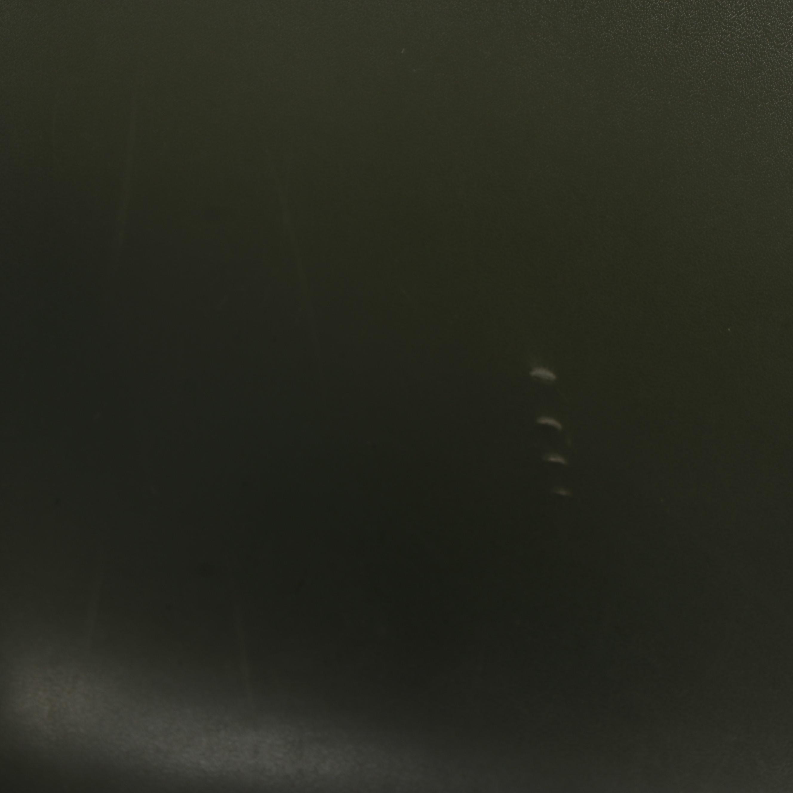 Charles and Ray Eames for Herman Miller Upholstered Fiberglass Chair