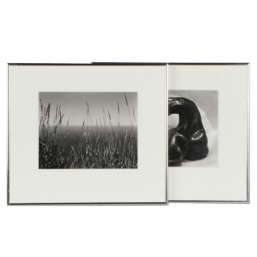 Edward Weston Silver Gelatin Photographs