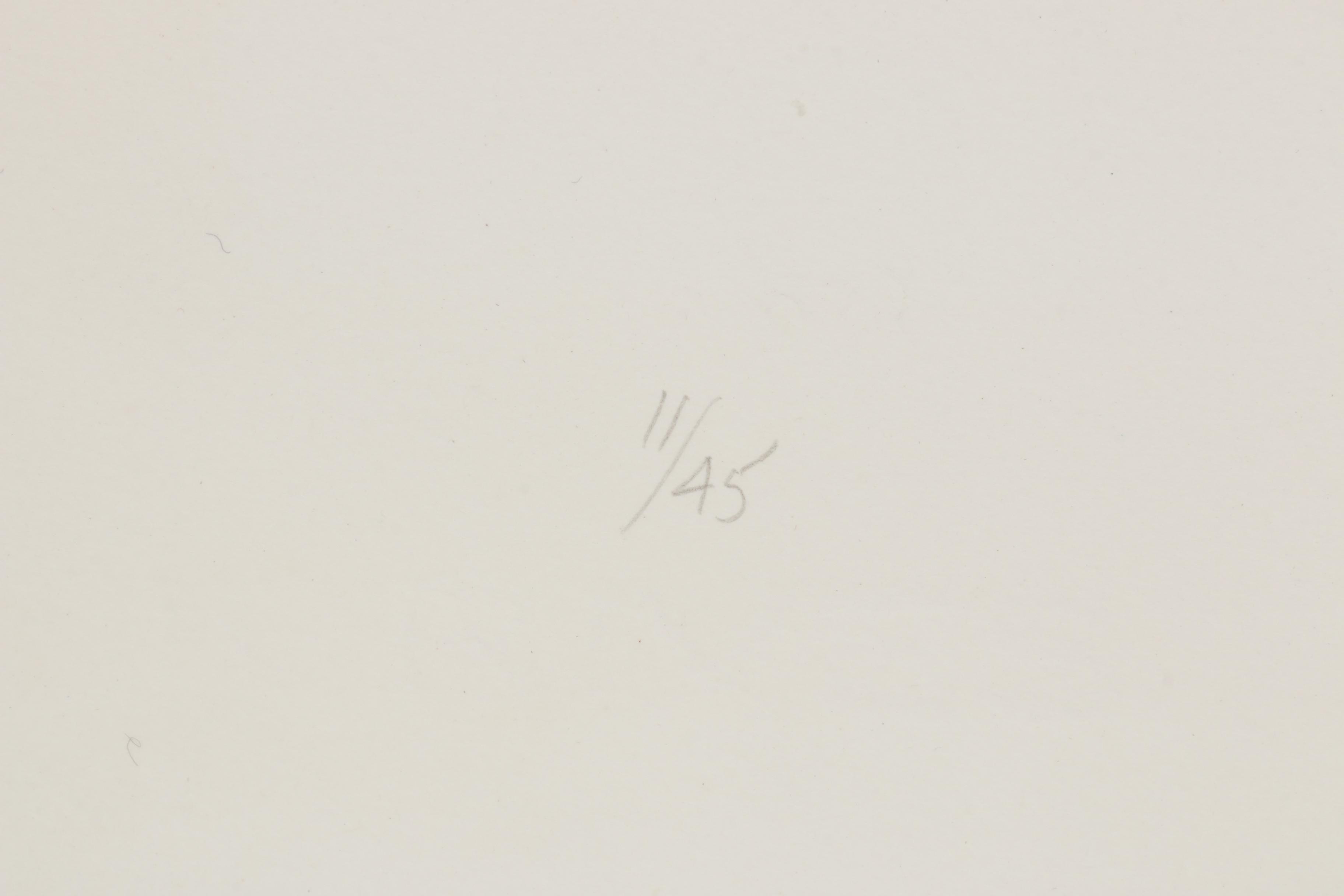 James Wilson Rayen Landscape Prints