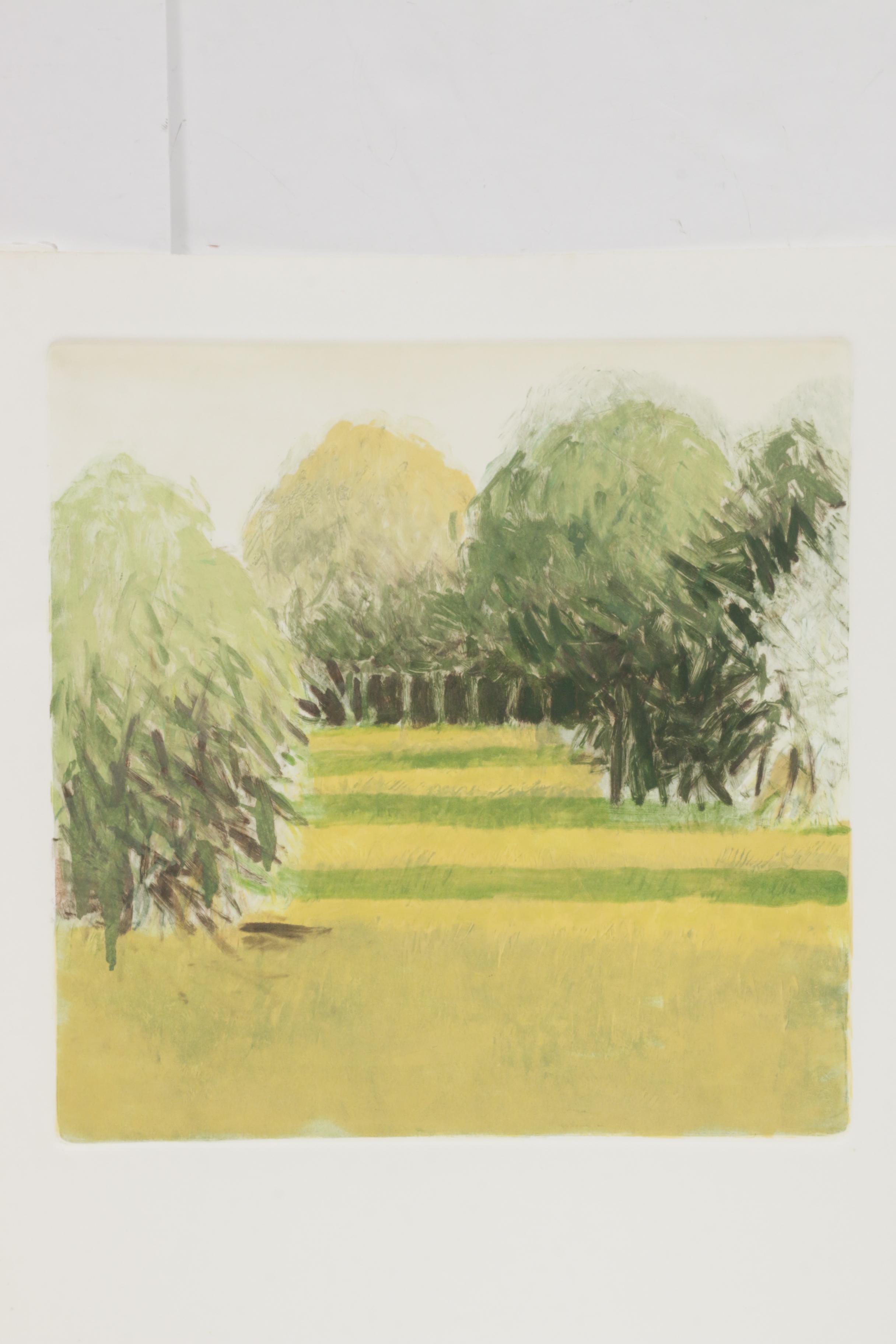 James Wilson Rayen Landscape Intaglio Prints