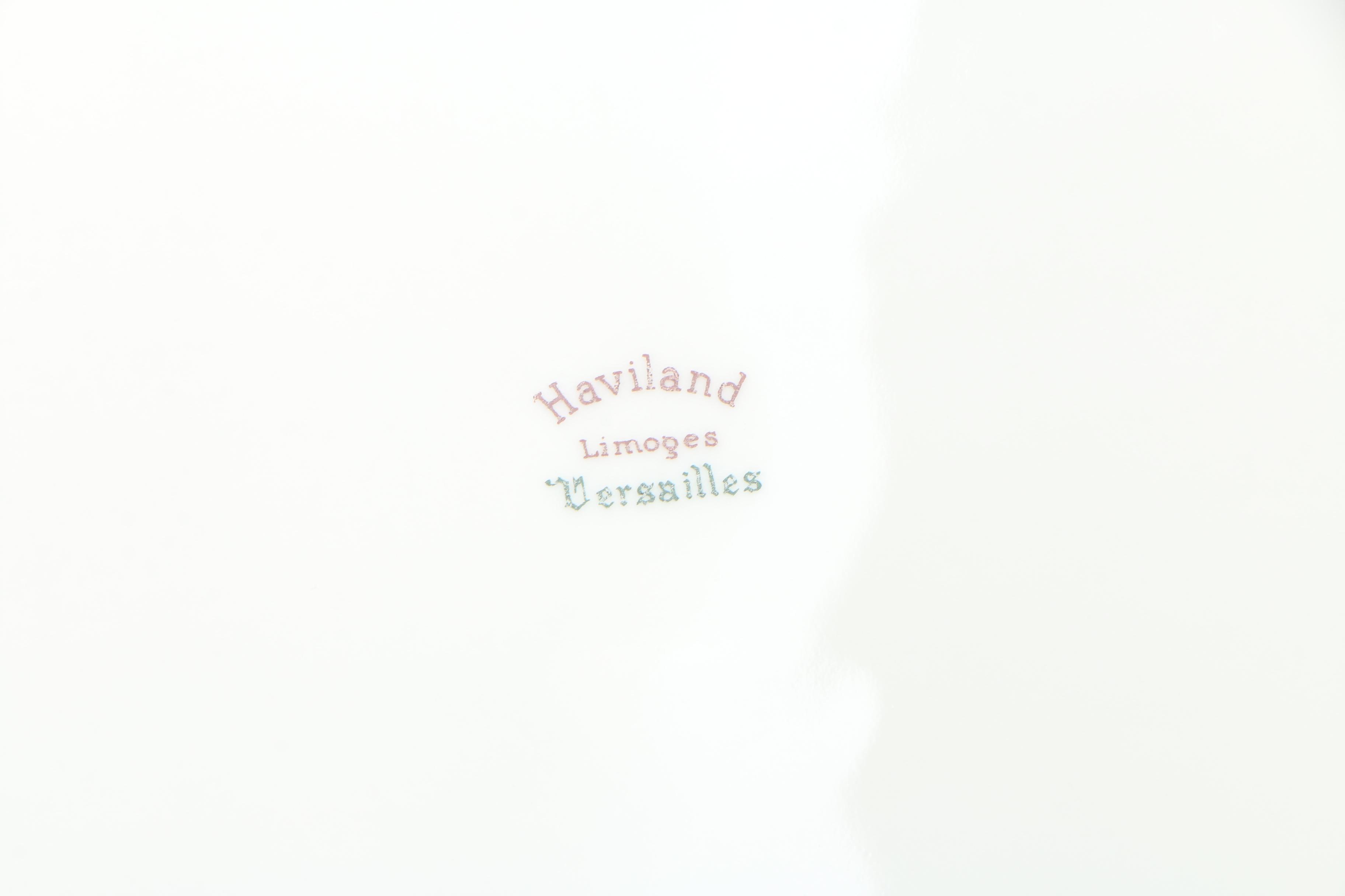 Haviland "Versailles Platinum Trim" China Dinnerware