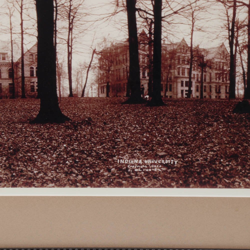 Indiana University Memorabilia and Collectibles