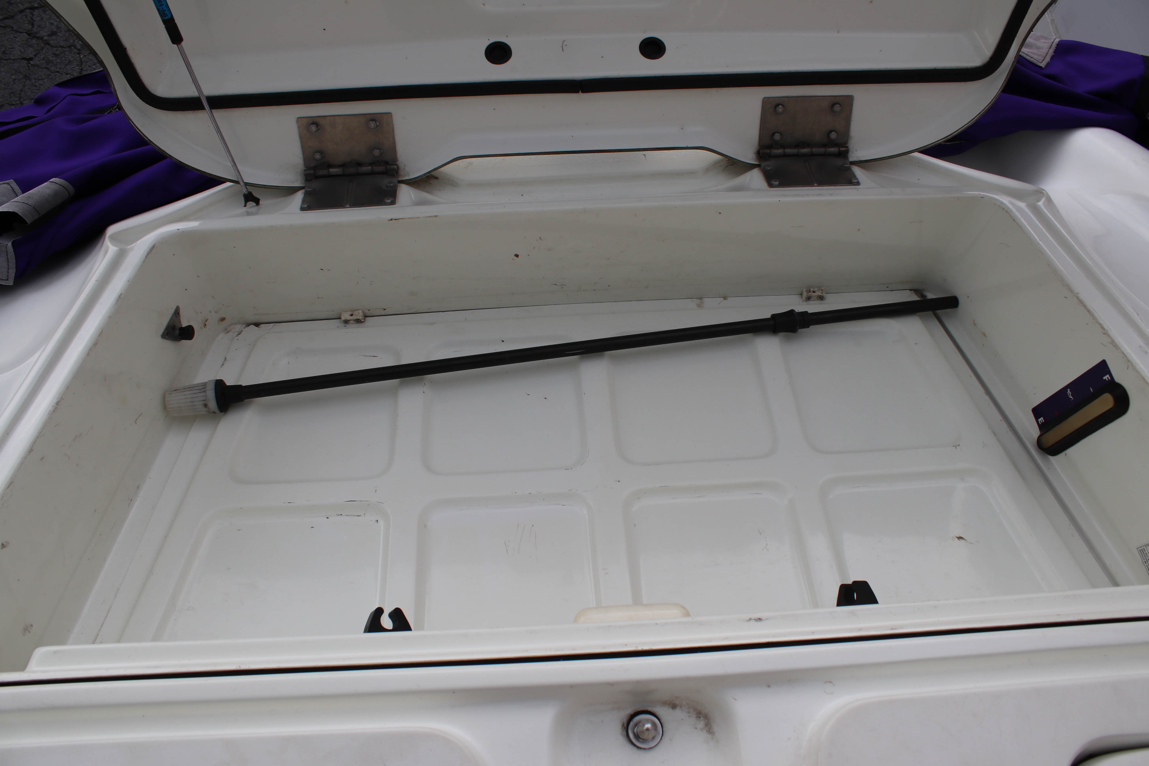 1995 Sea-Doo Speedster Sport Boat and Trailer
