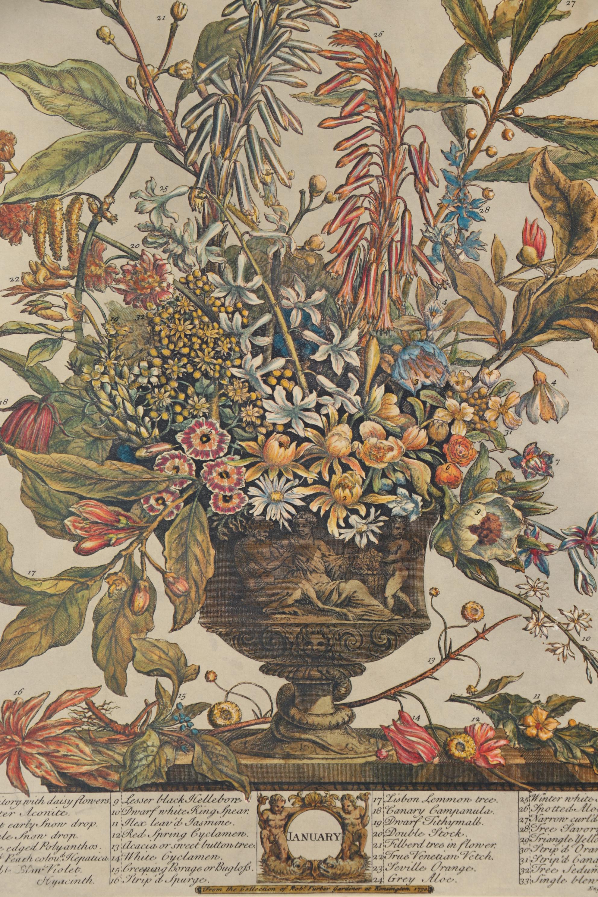 1964 Offset Lithographs after Robert Furber "Twelve Months of Flowers"