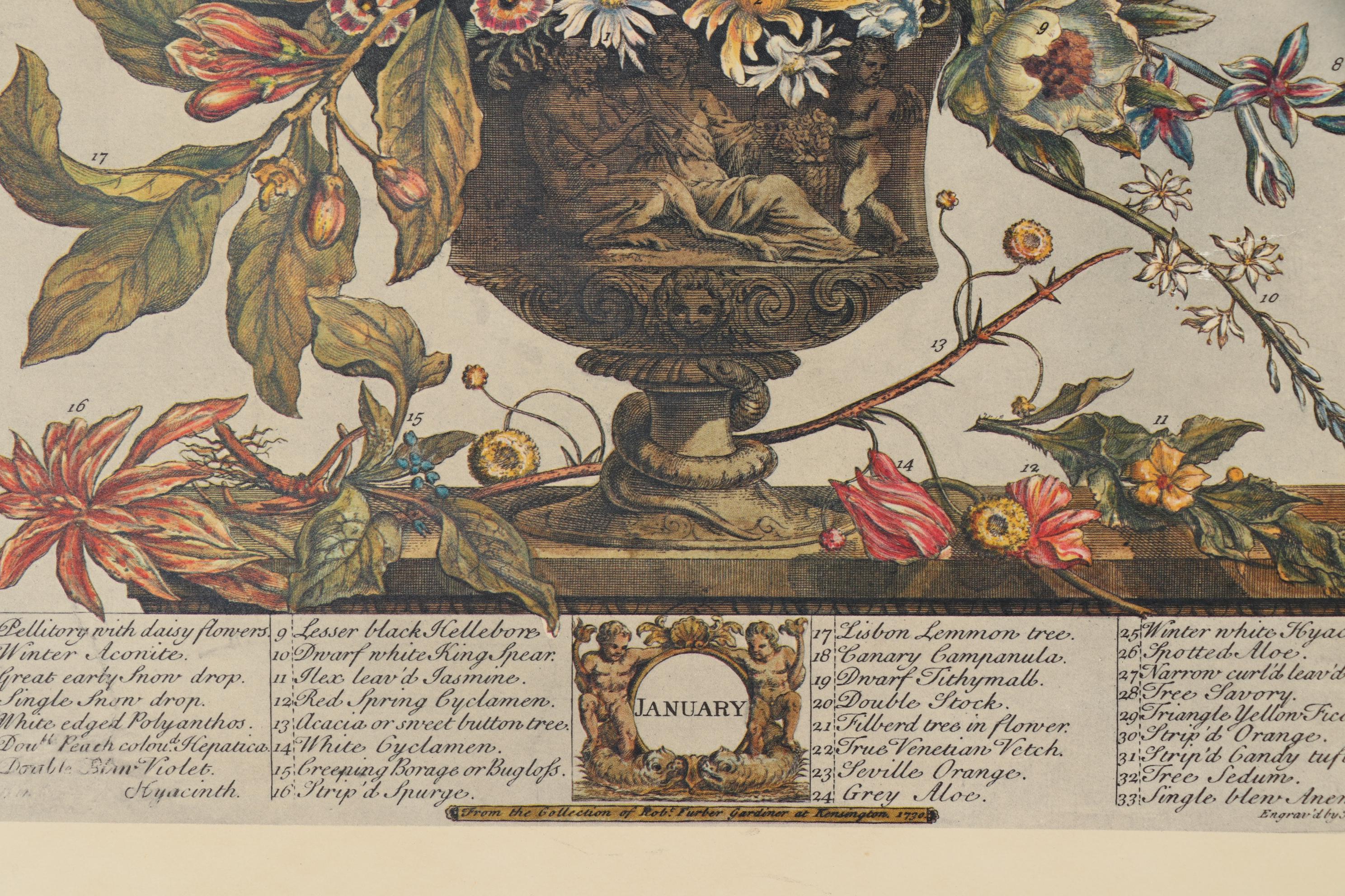 1964 Offset Lithographs after Robert Furber "Twelve Months of Flowers"