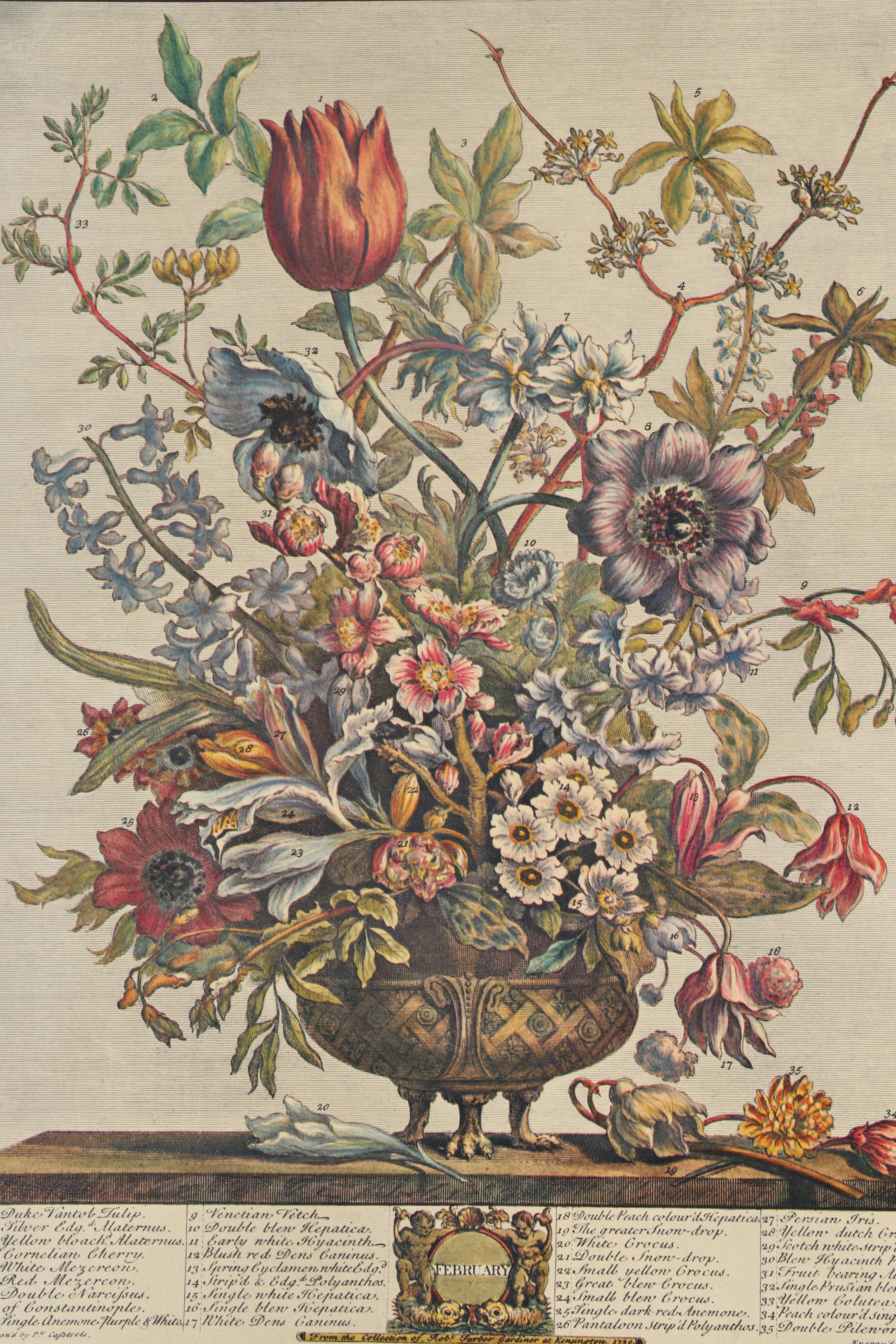 1964 Offset Lithographs after Robert Furber "Twelve Months of Flowers"