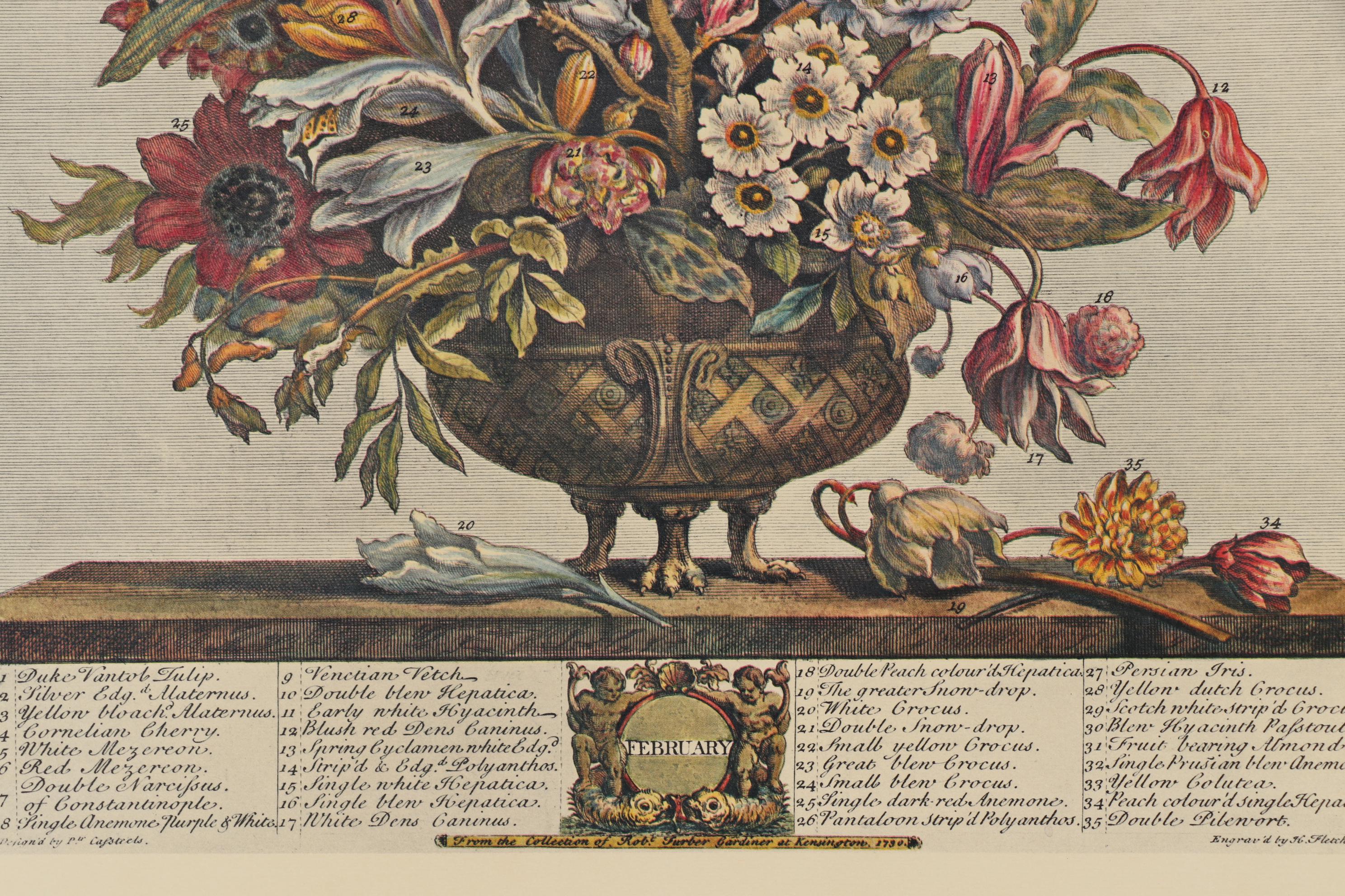 1964 Offset Lithographs after Robert Furber "Twelve Months of Flowers"