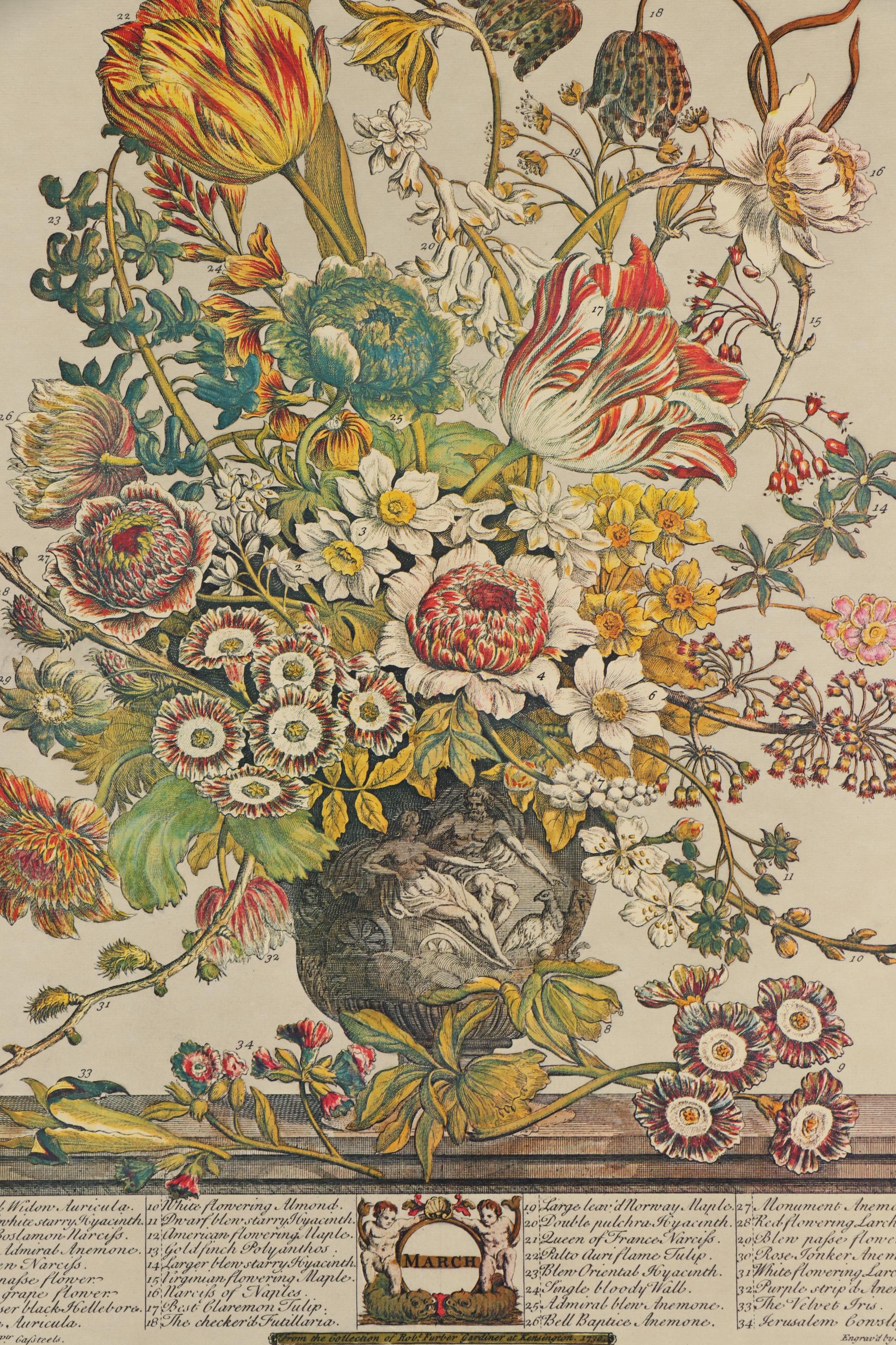 1964 Offset Lithographs after Robert Furber "Twelve Months of Flowers"