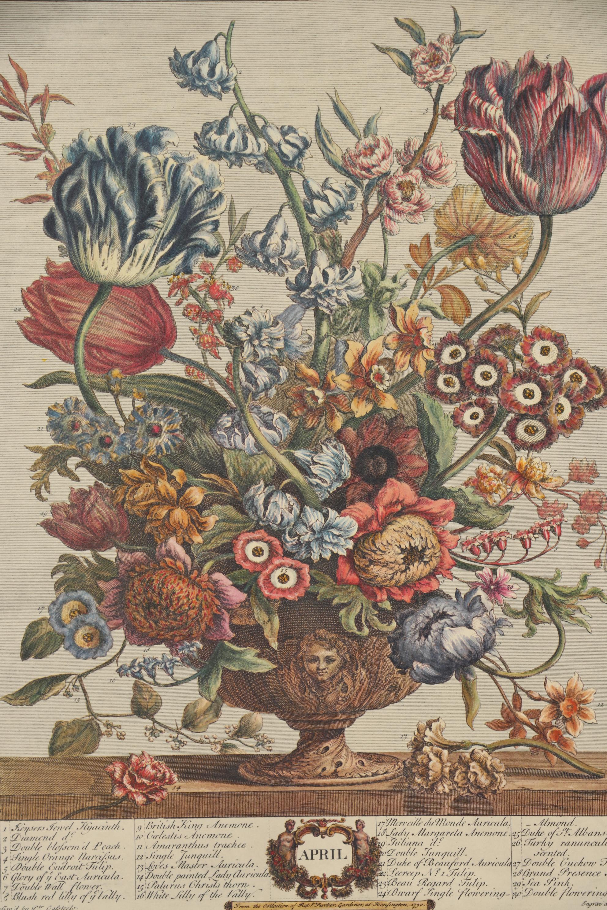 1964 Offset Lithographs after Robert Furber "Twelve Months of Flowers"