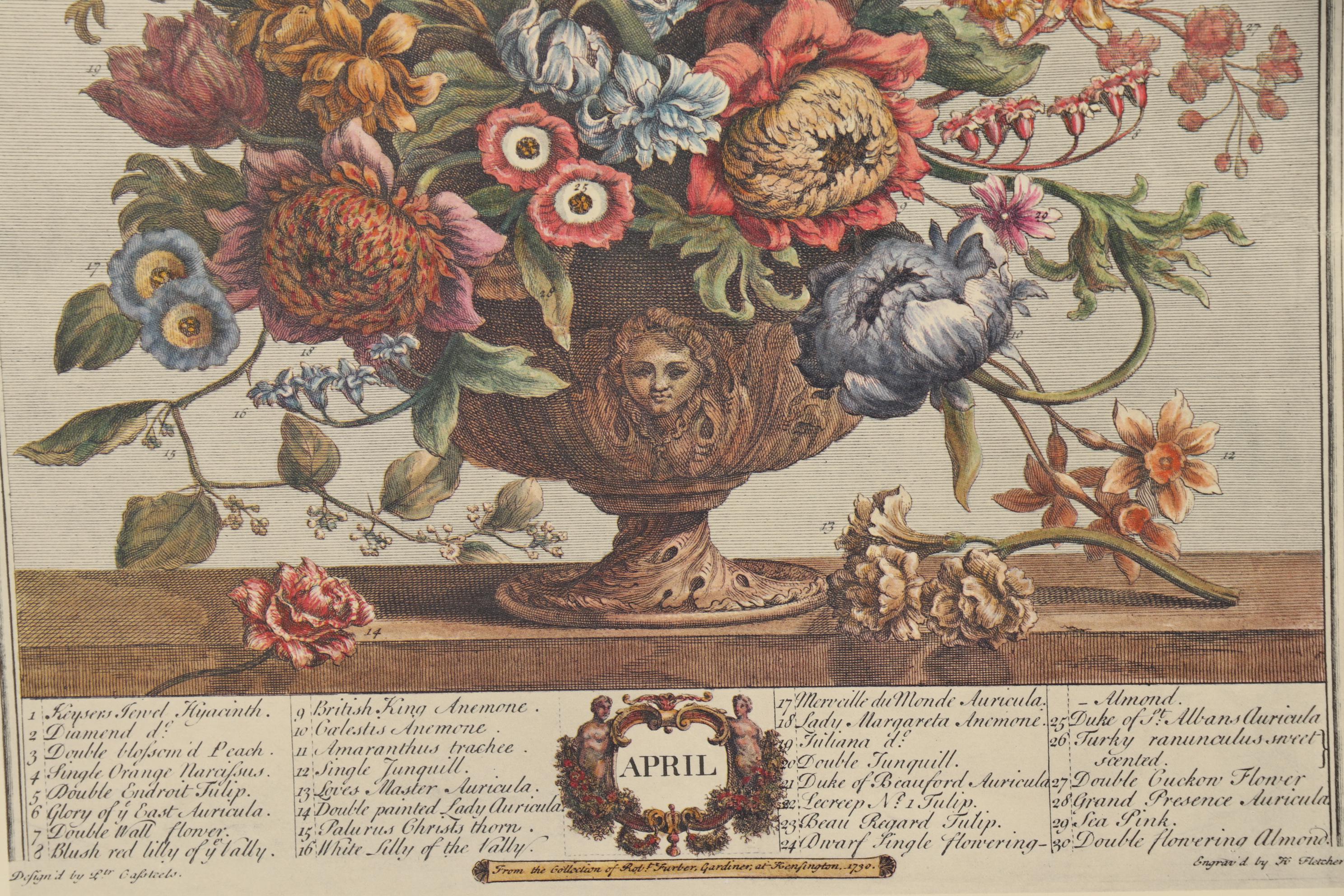 1964 Offset Lithographs after Robert Furber "Twelve Months of Flowers"