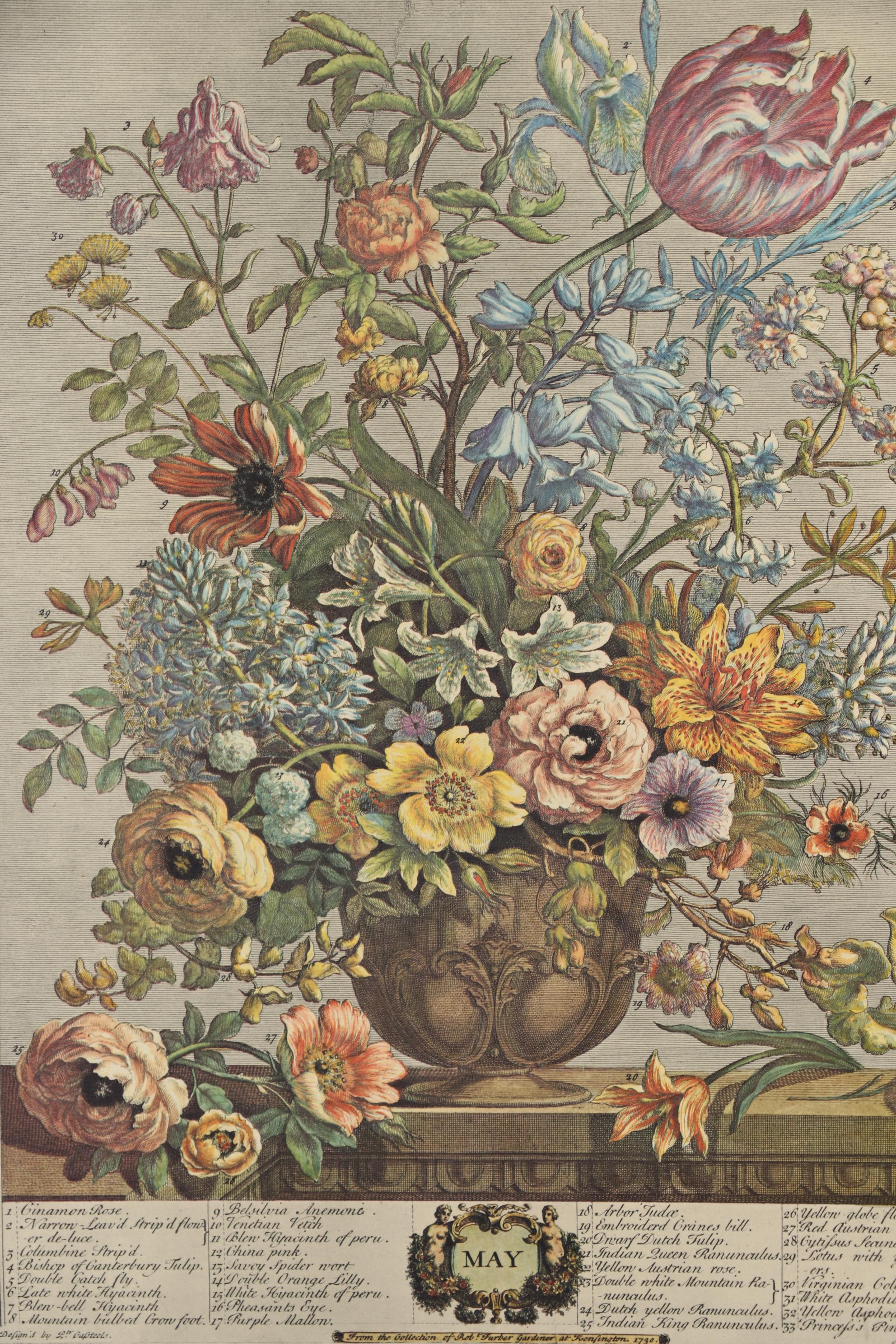 1964 Offset Lithographs after Robert Furber "Twelve Months of Flowers"