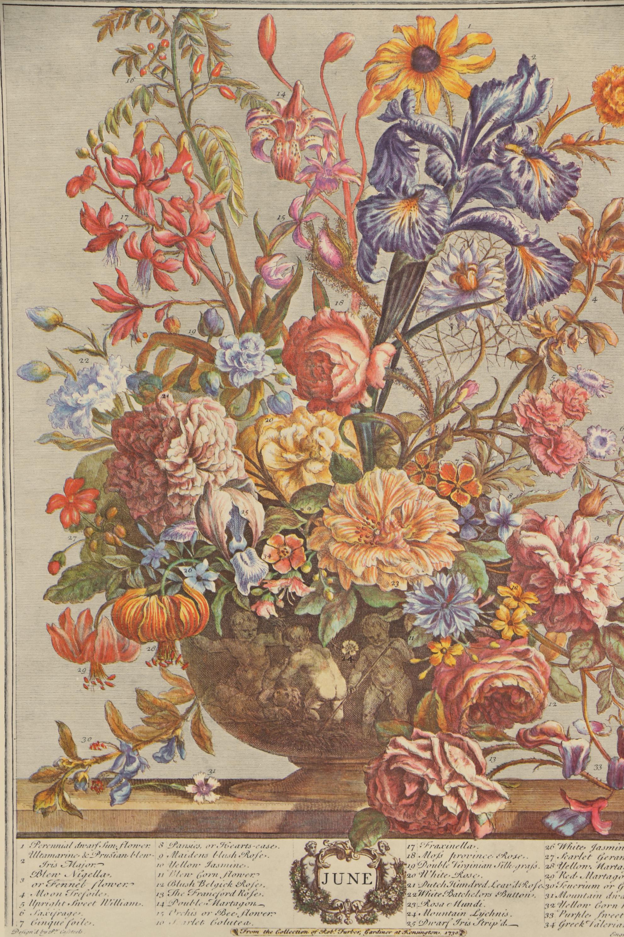 1964 Offset Lithographs after Robert Furber "Twelve Months of Flowers"