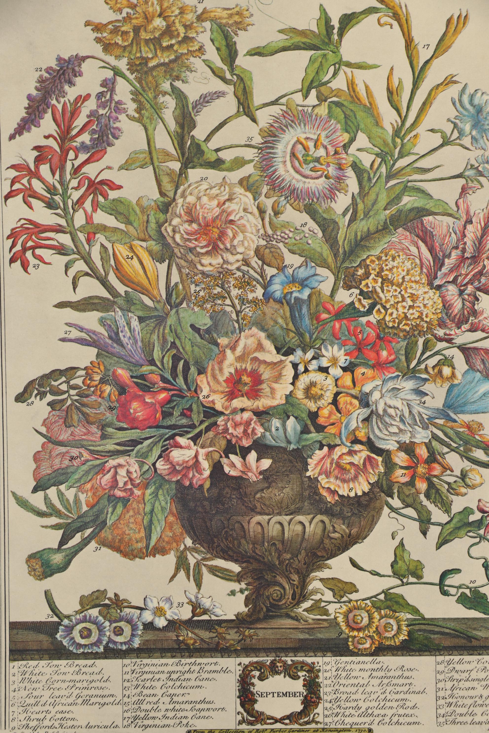 1964 Offset Lithographs after Robert Furber "Twelve Months of Flowers"