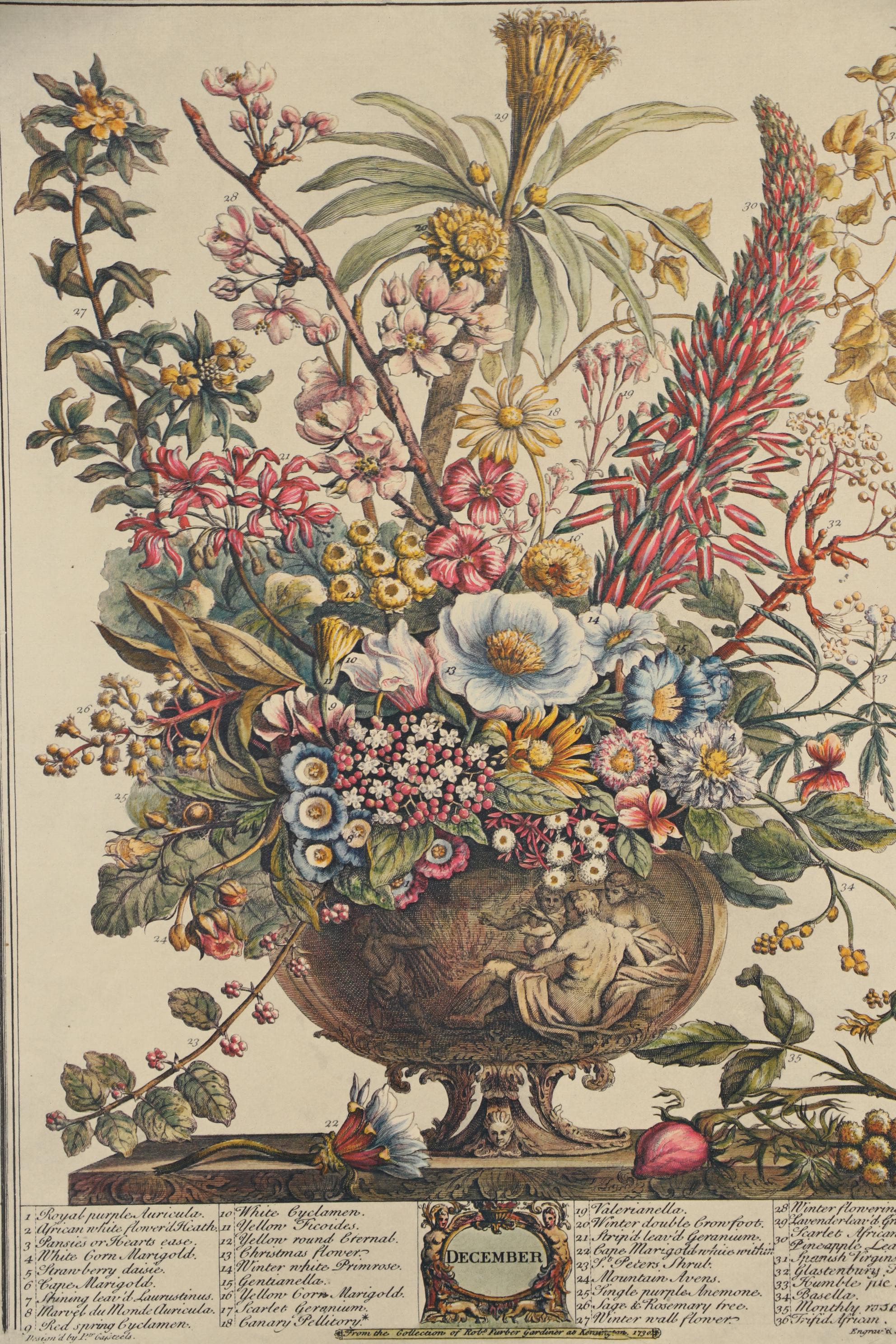 1964 Offset Lithographs after Robert Furber "Twelve Months of Flowers"