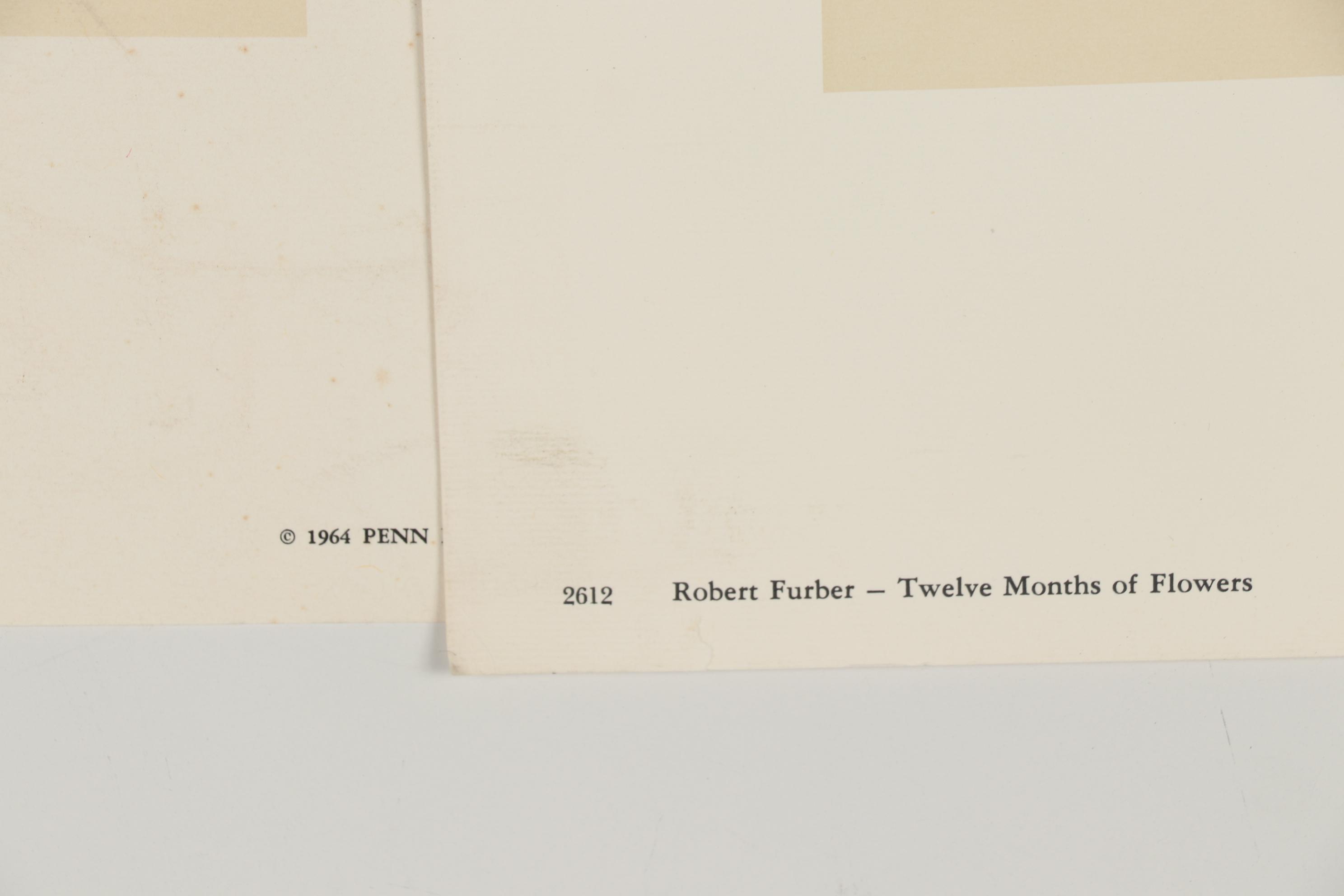 1964 Offset Lithographs after Robert Furber "Twelve Months of Flowers"