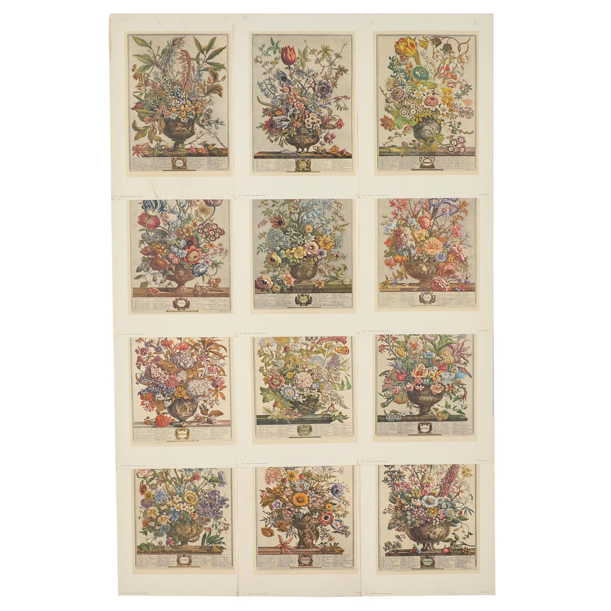 1964 Offset Lithographs after Robert Furber "Twelve Months of Flowers"