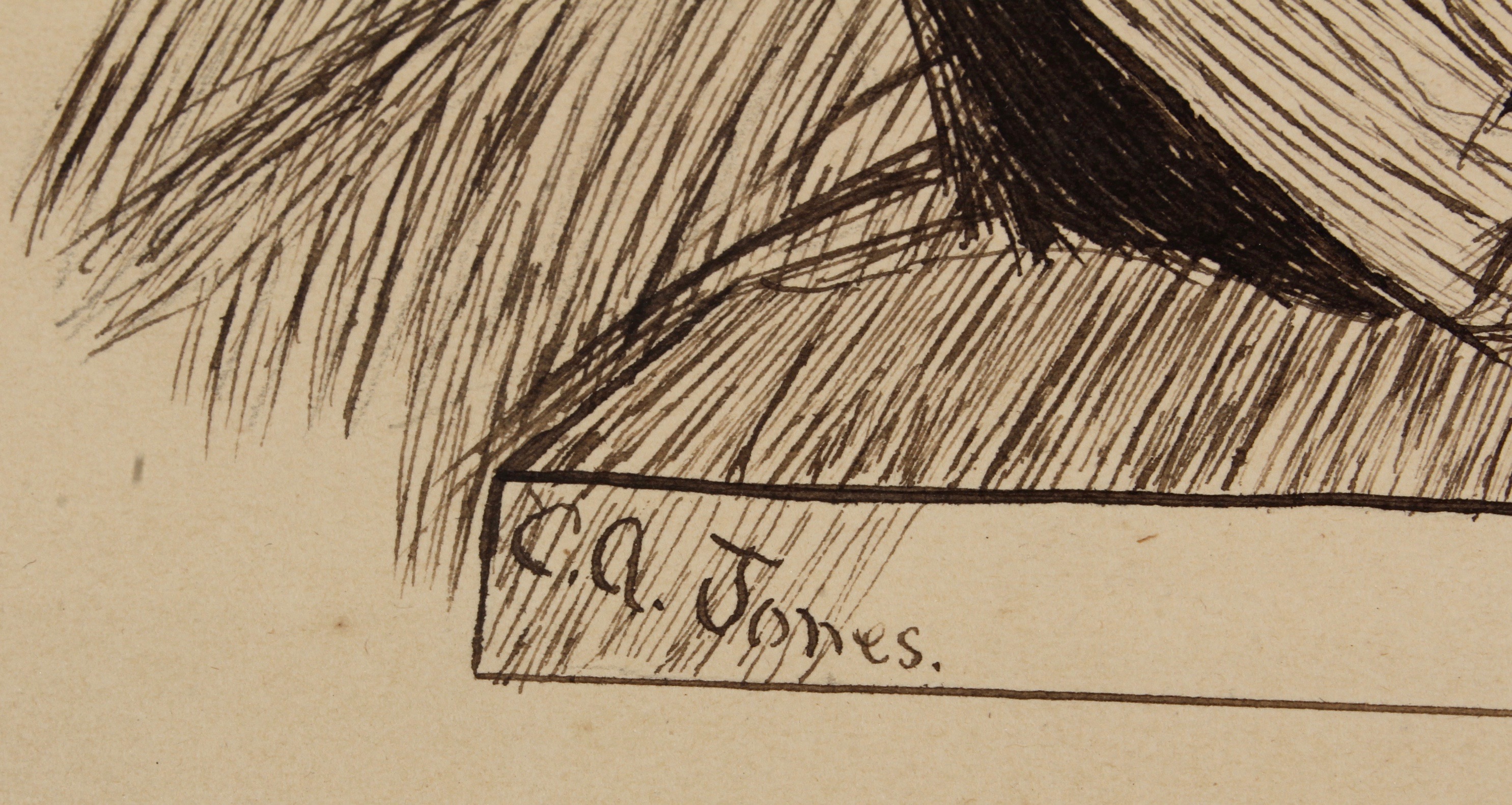 C. A. Jones Pen and Ink Drawing of Couple