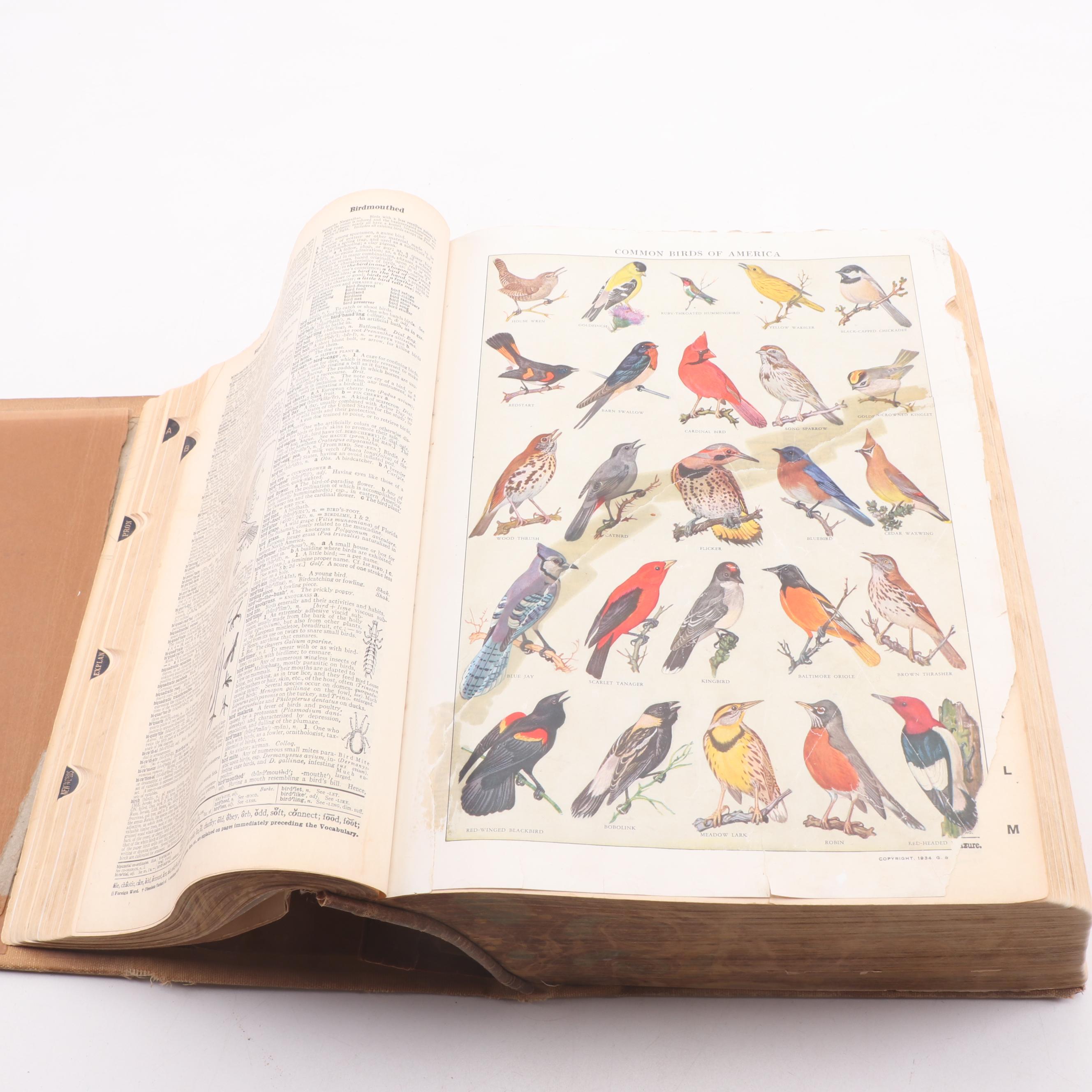 1948 Unabridged "Webster's New International Dictionary of the English Language"