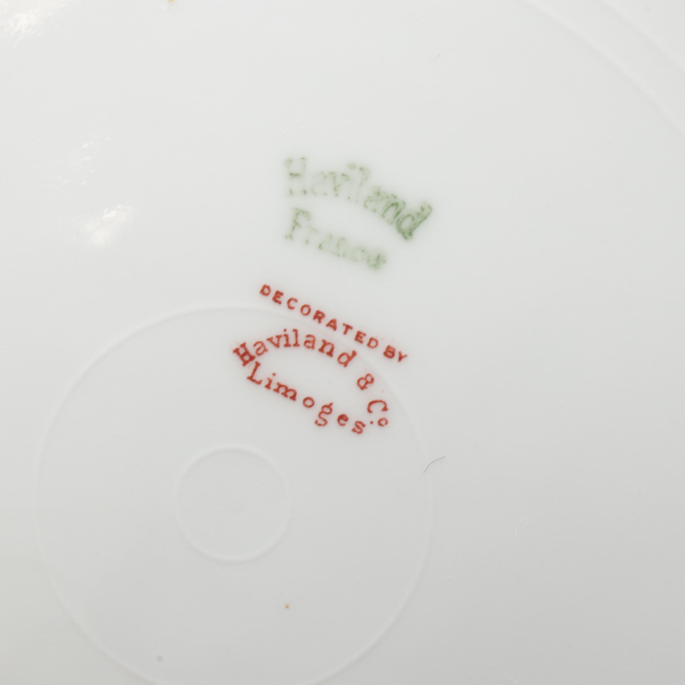 Haviland & Co. "Silver Anniversary" Porcelain Dinnerware