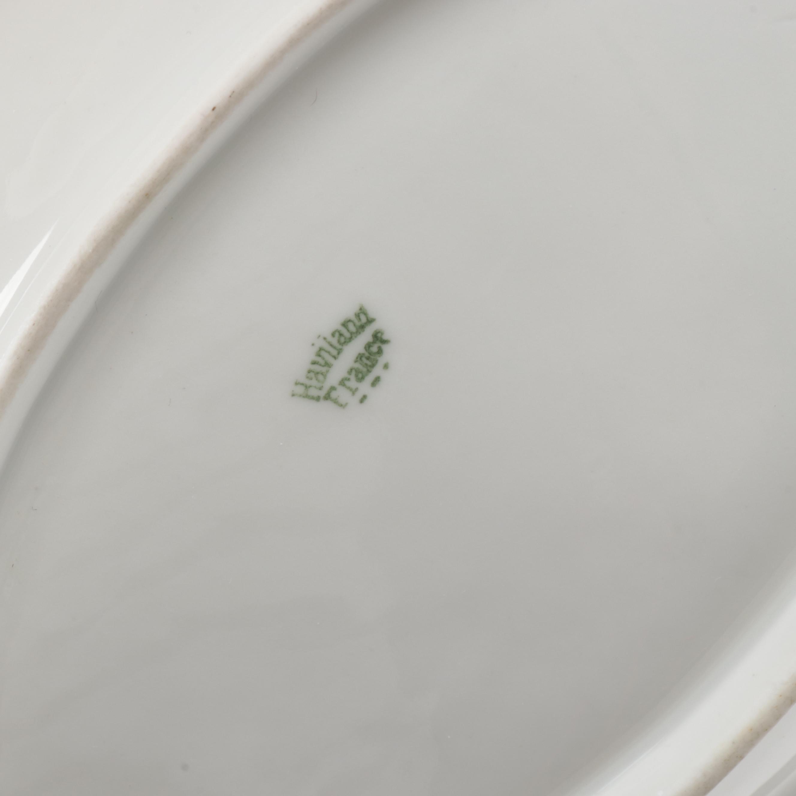 Haviland & Co. "Silver Anniversary" Porcelain Dinnerware