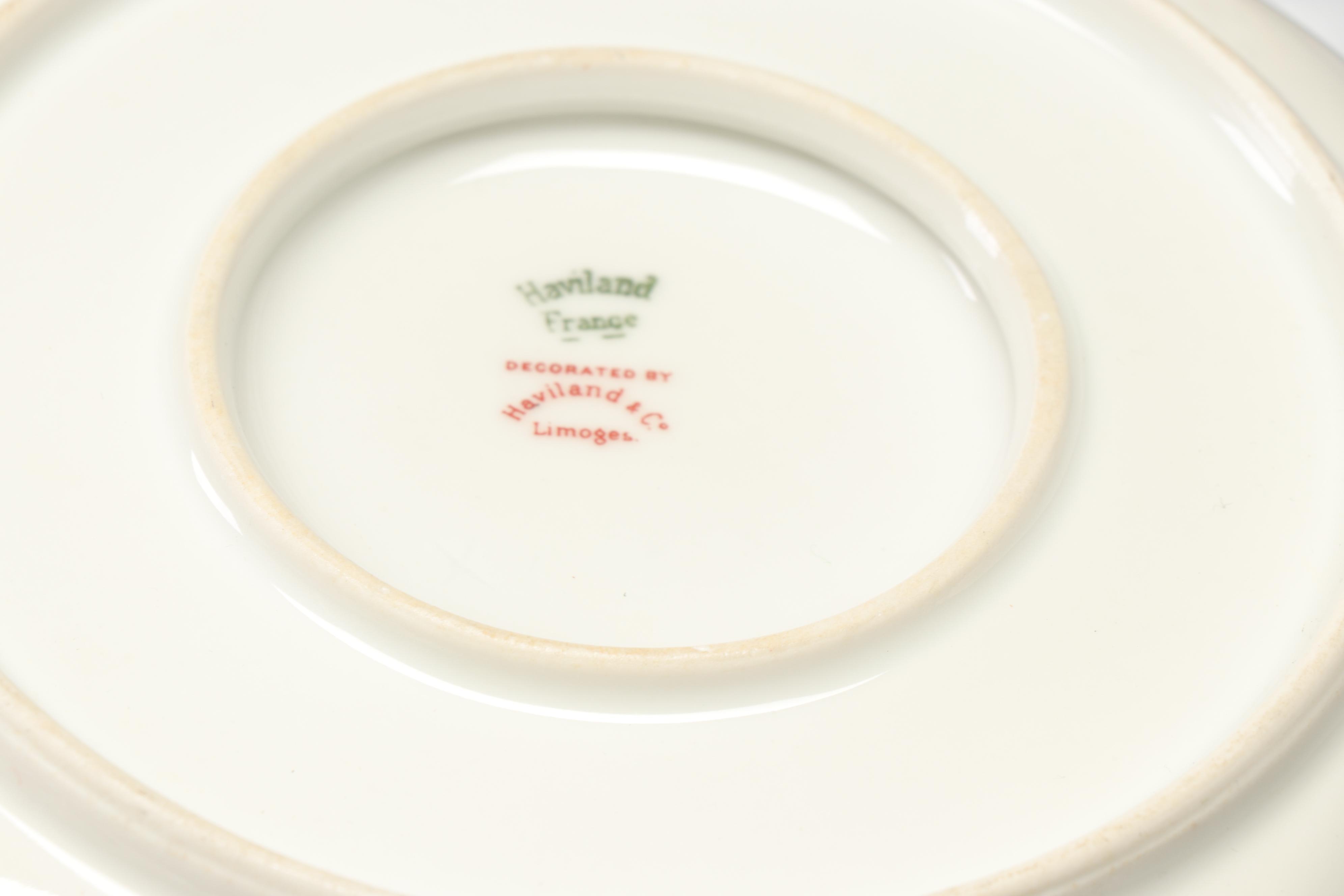 Haviland & Co. Limoges Porcelain Dinnerware