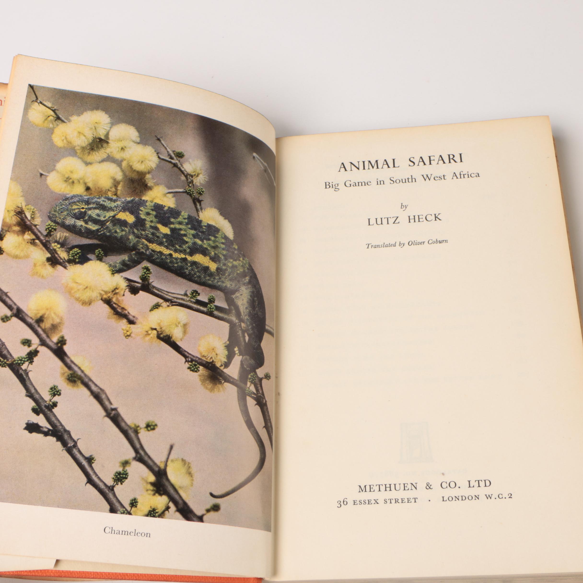 African Game featuring "Hunting Big Game in Africa" and More