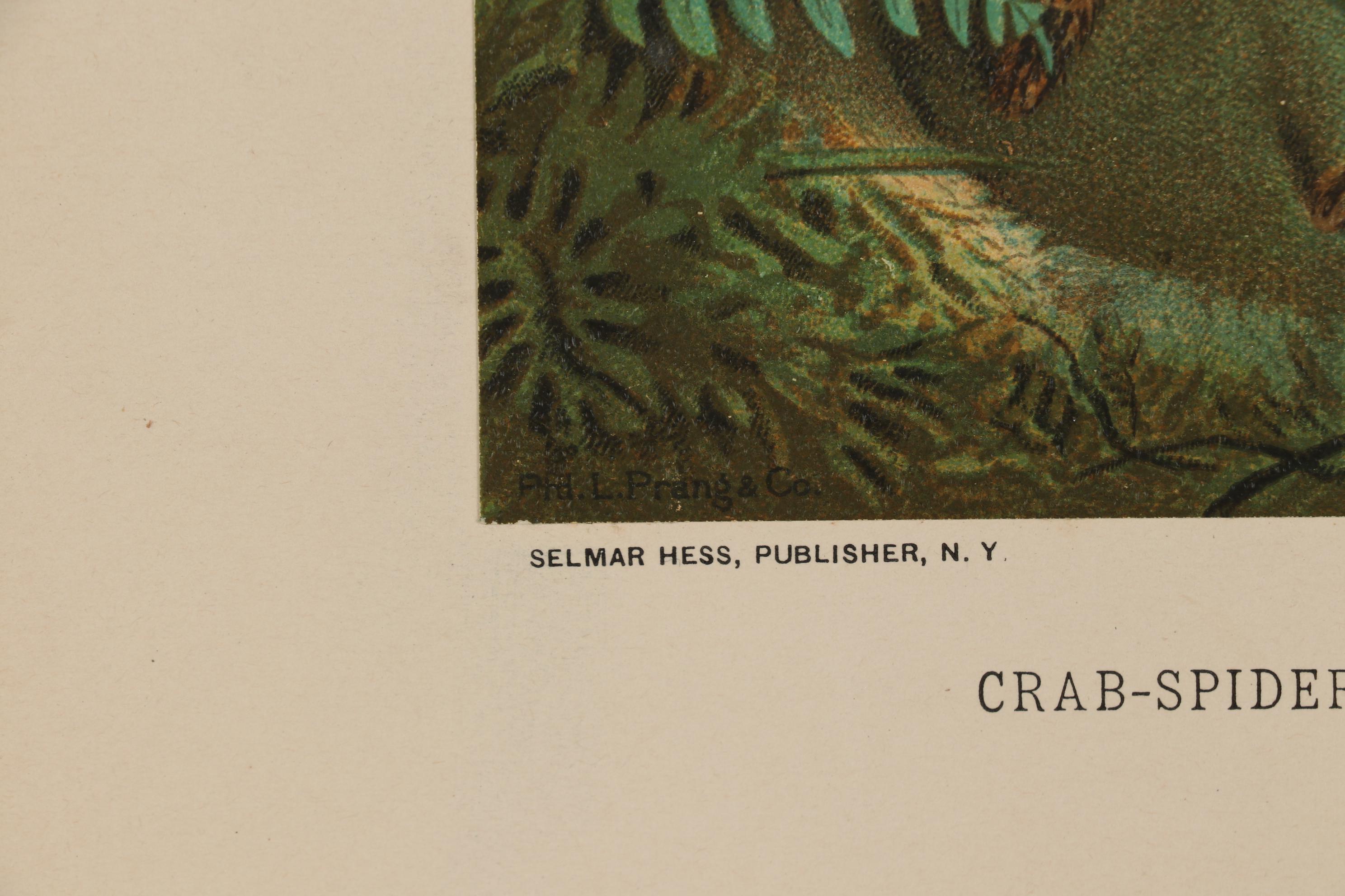 Louis Prang & Co. Chromolithographs