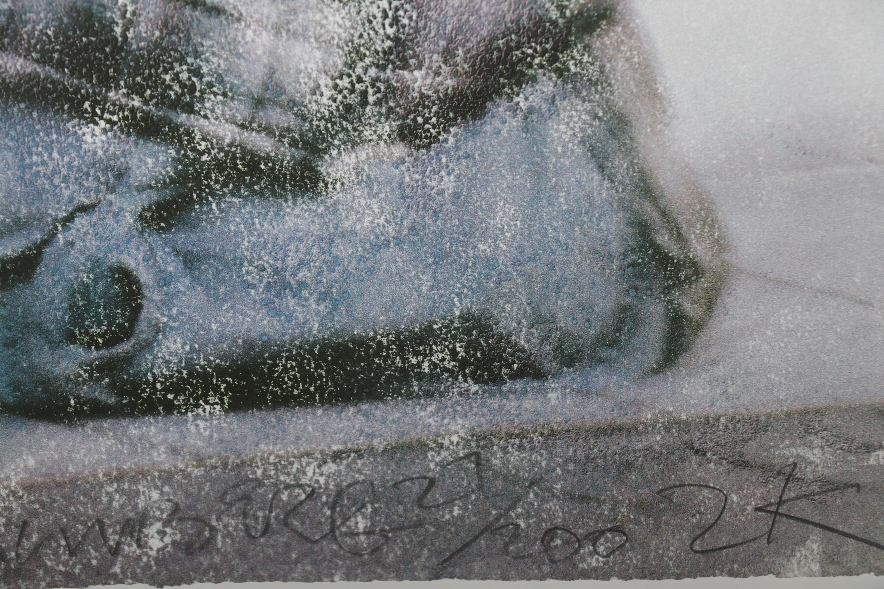 Robert Rauschenberg 2000 Lithograph "One Lioner"