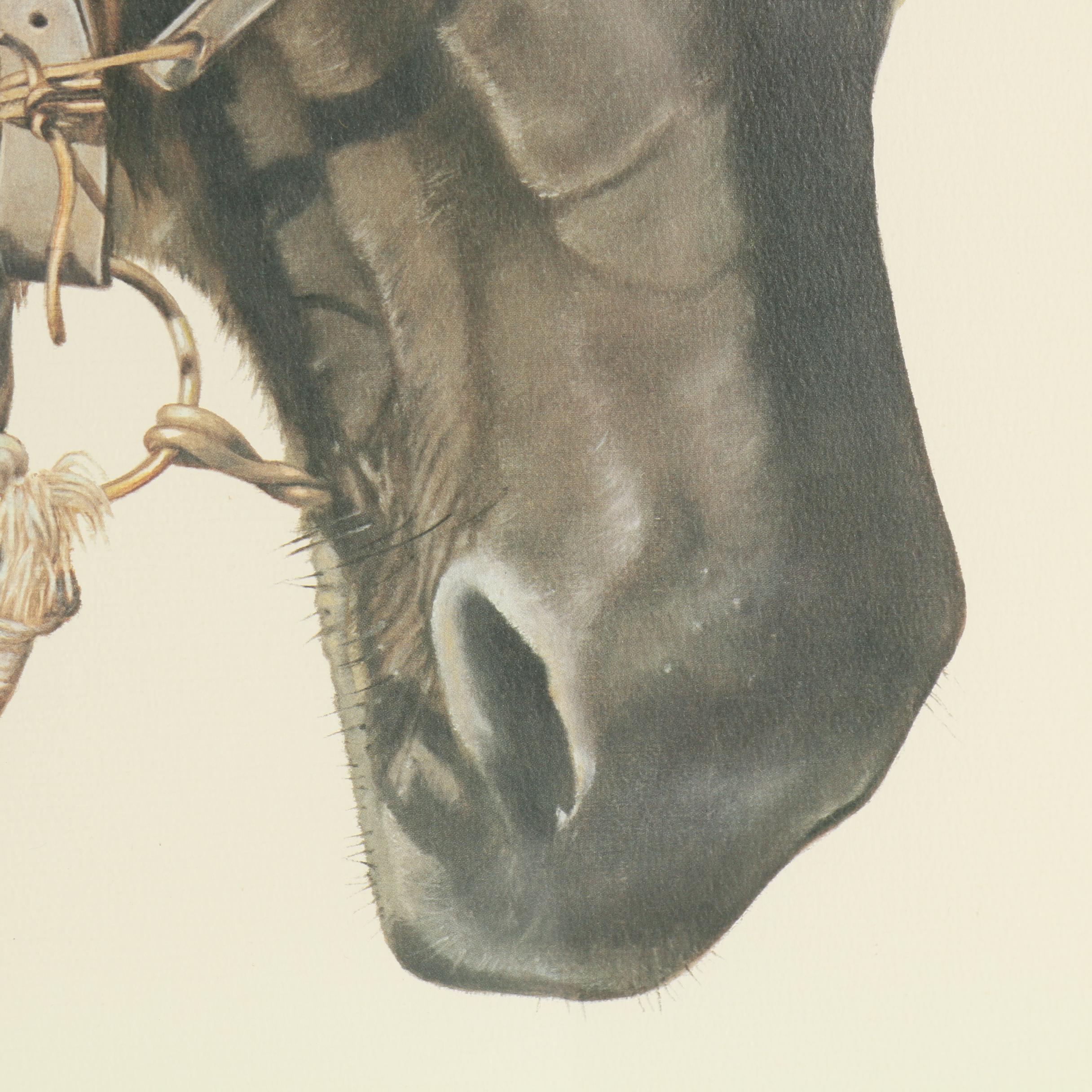 C. Don Ensor Offset Lithograph "Stubborn As"