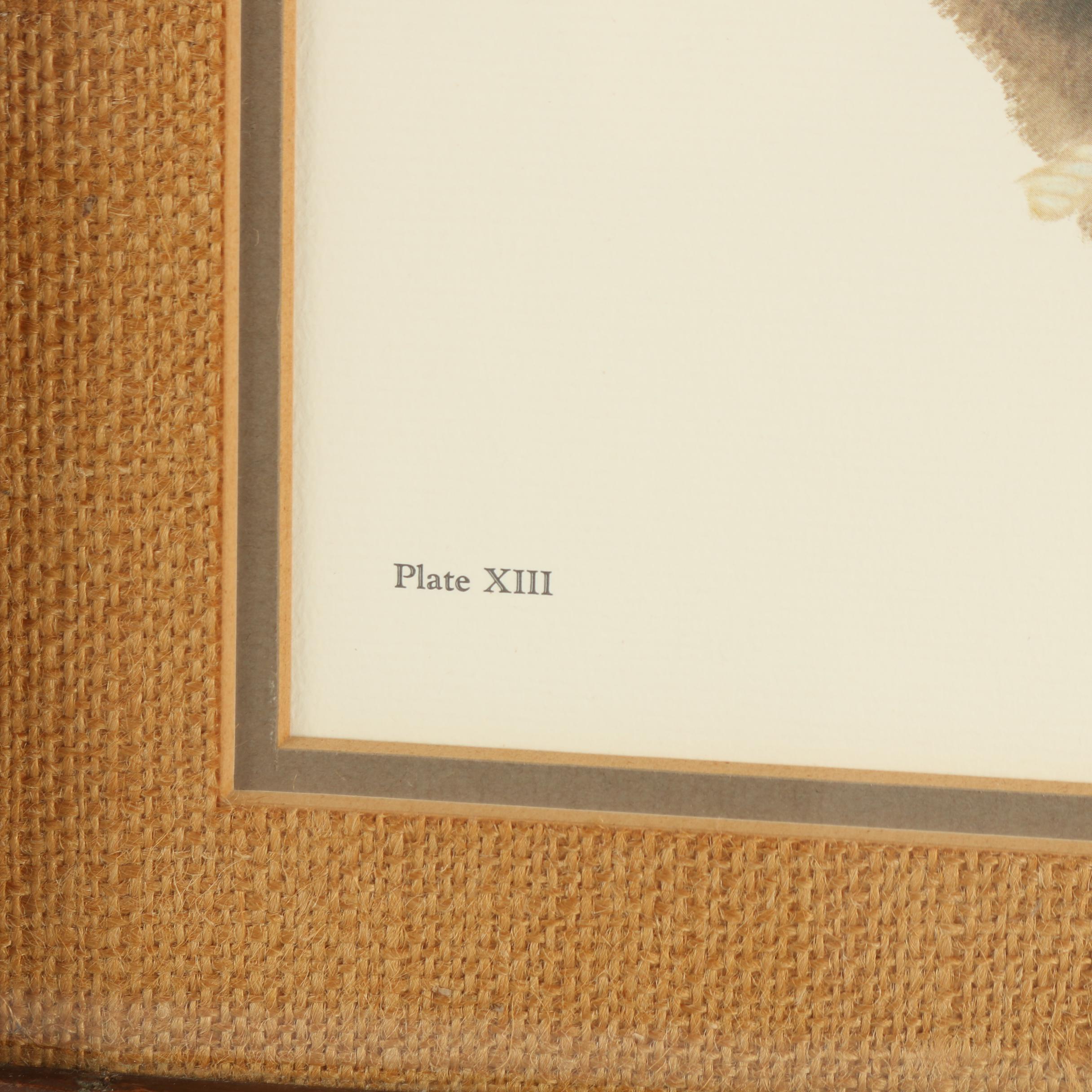 C. Don Ensor Offset Lithograph "Stubborn As"