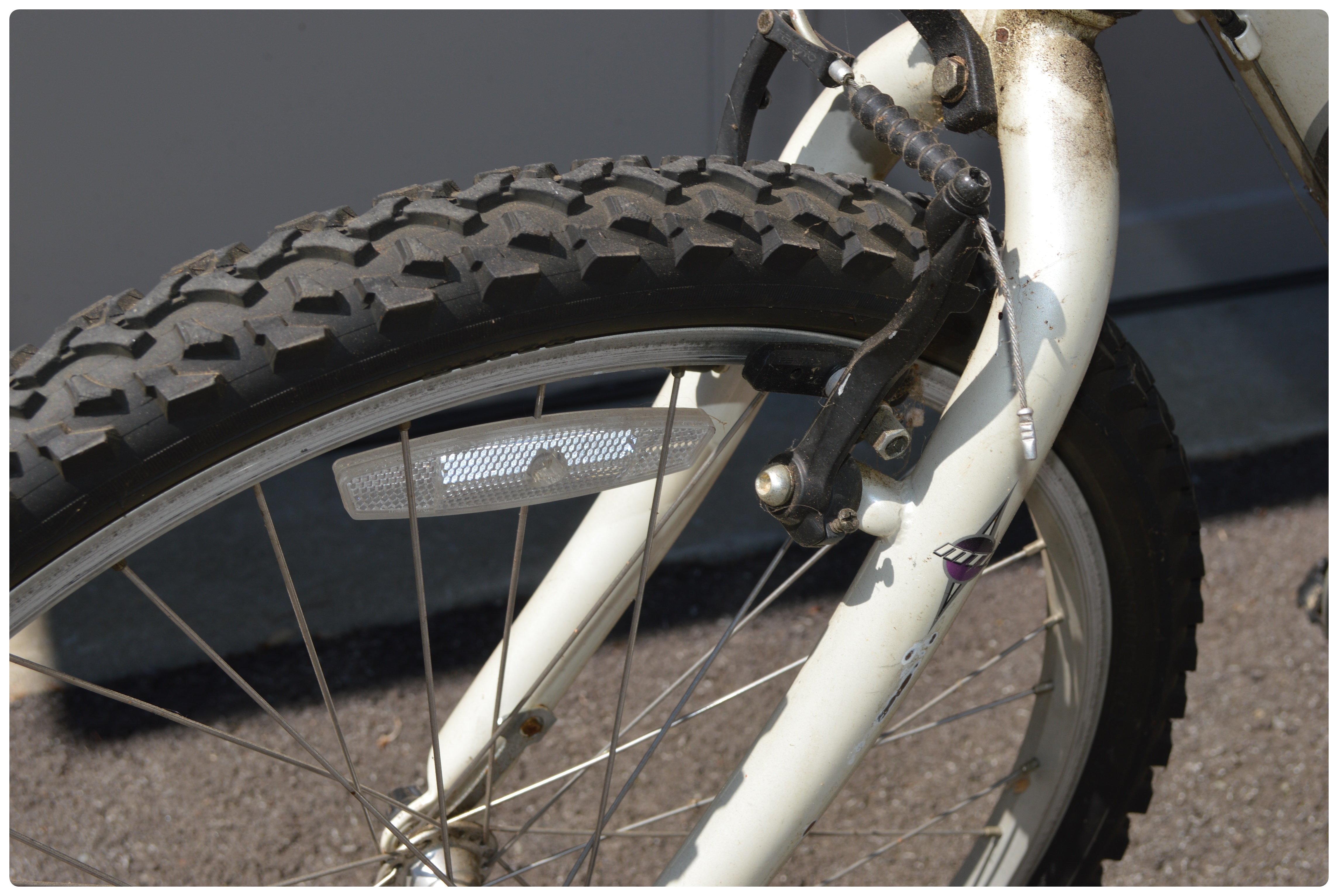 Schwinn "Frontier" Mountain Bike