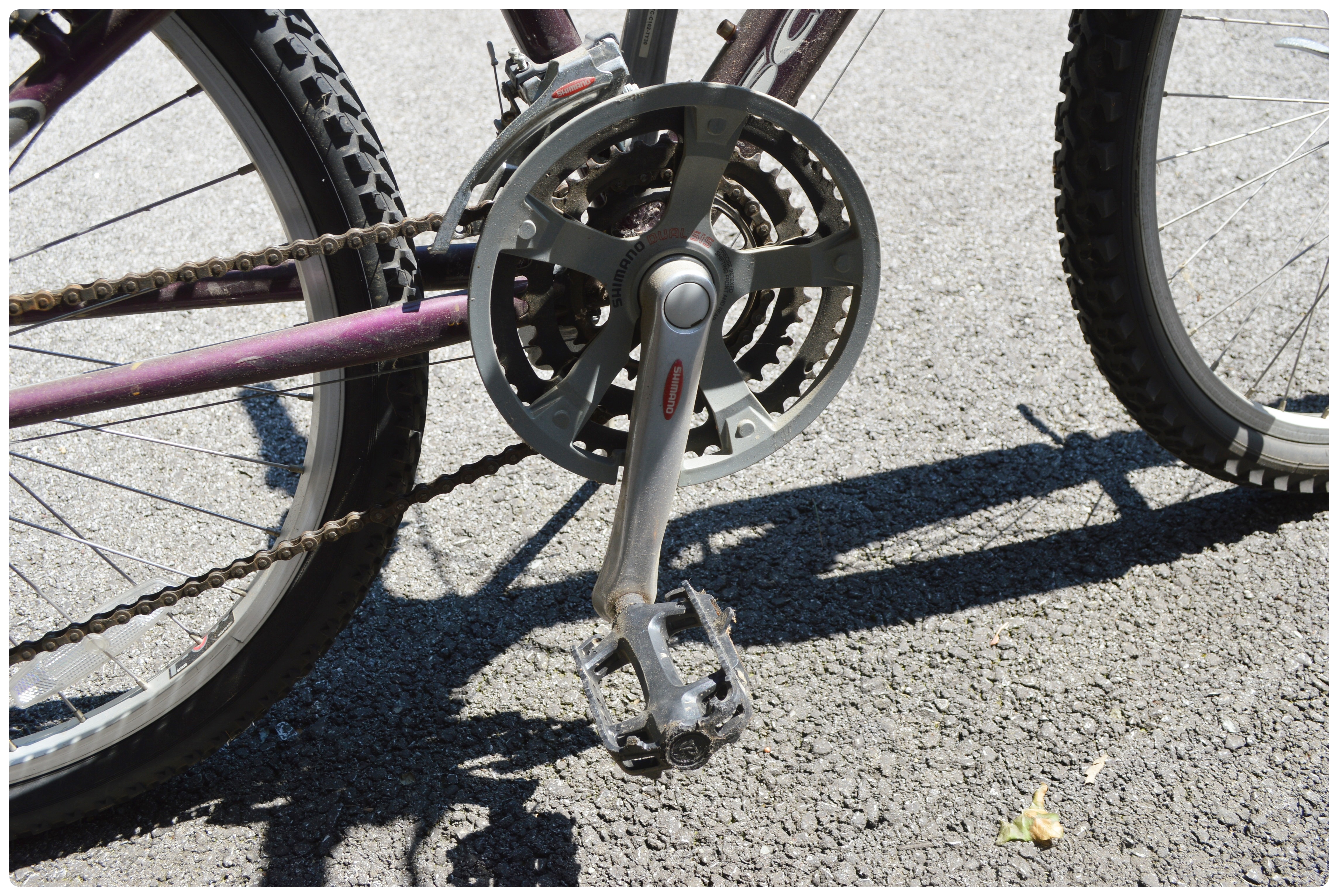 Schwinn "Frontier" Mountain Bike