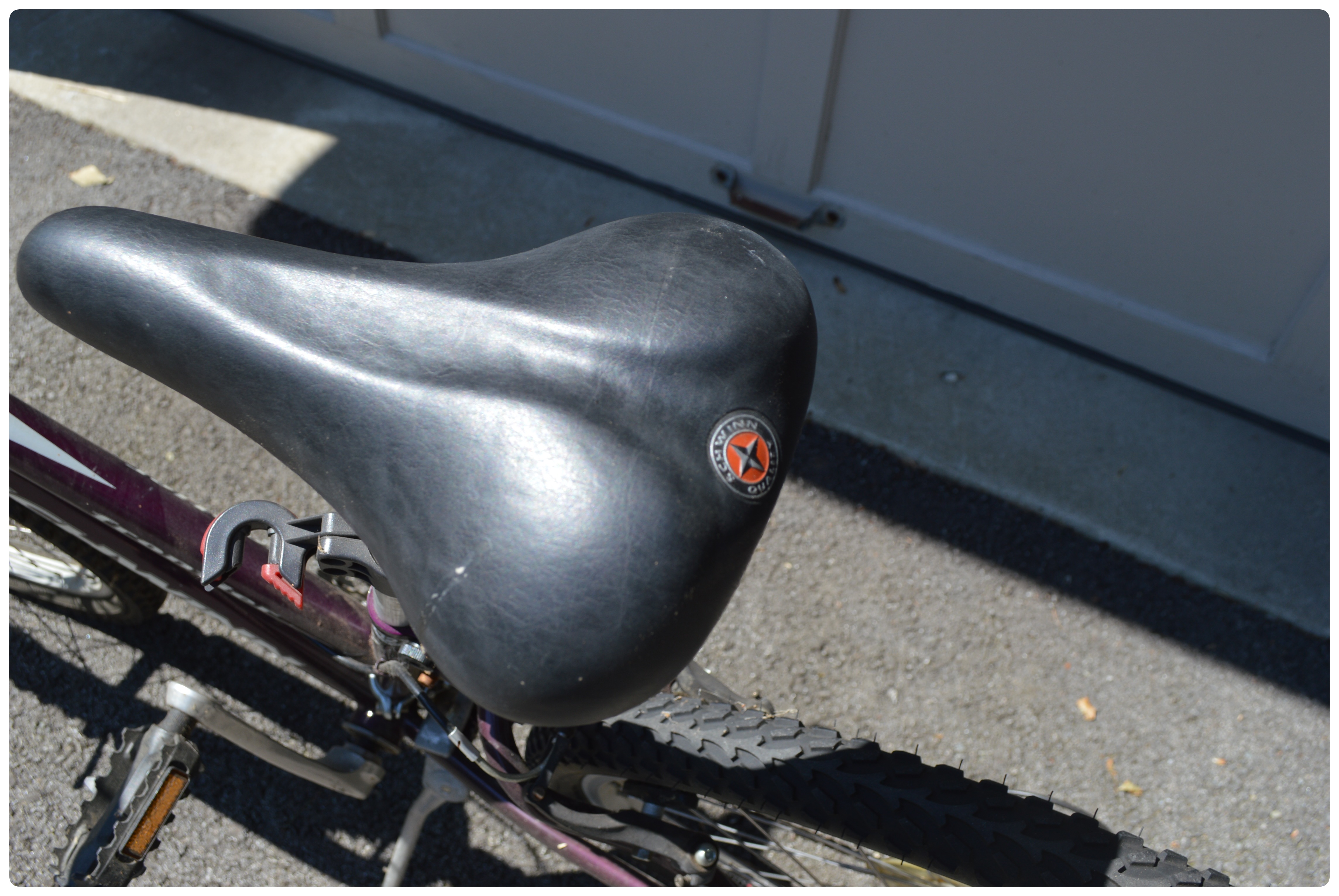 Schwinn "Frontier" Mountain Bike